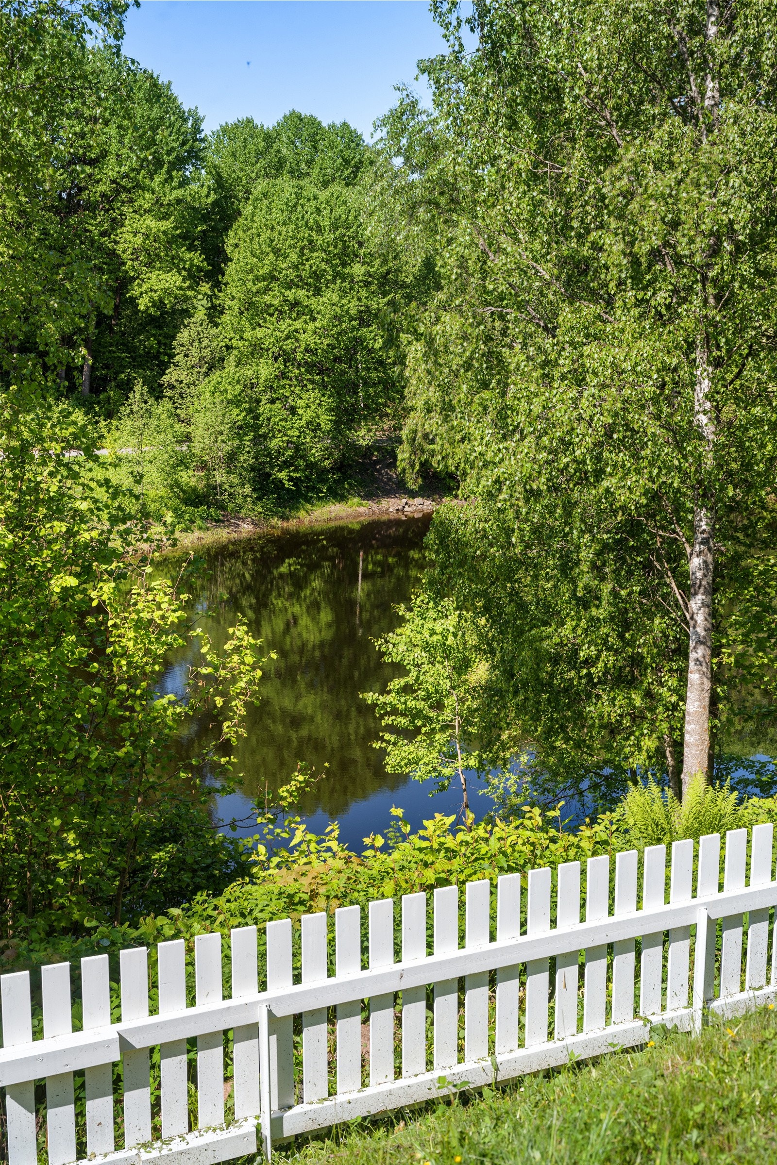 Badeplassen Grinidammen er et ypperlig sted for en dukkert om sommeren. Galleribilde