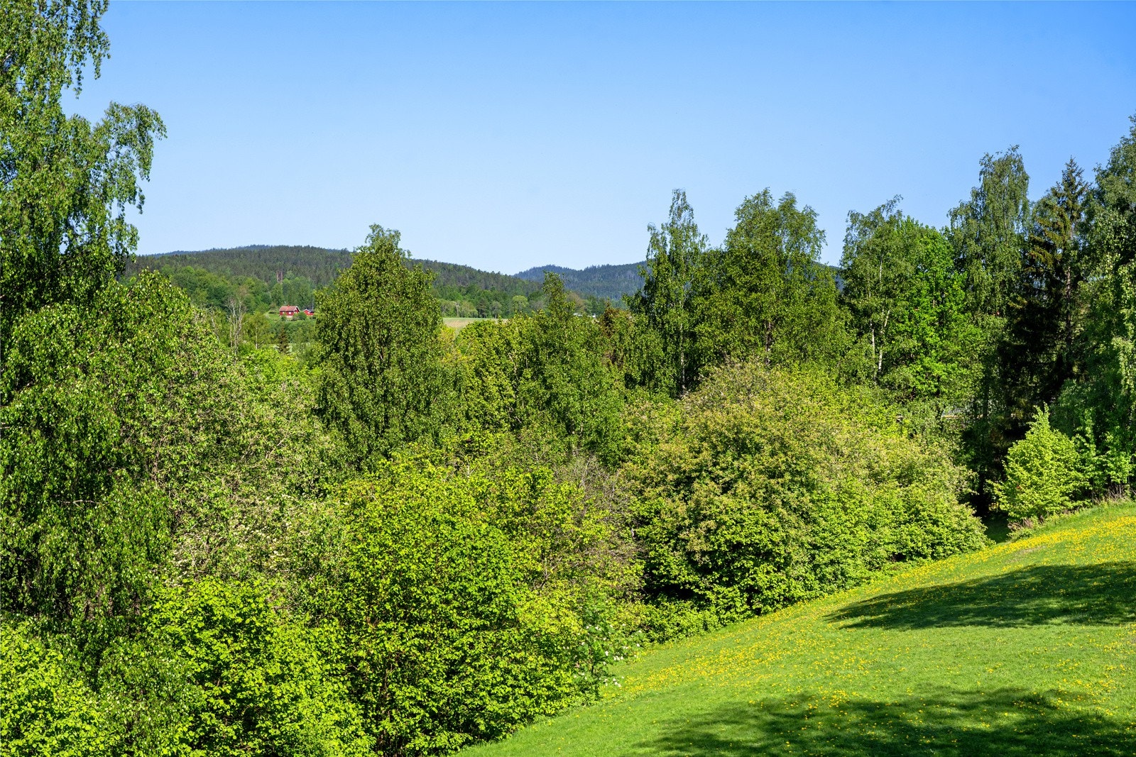 Idyllisk beliggenhet som tar inn det grønne. Eiendommen grenser til friareal og badeplass. Galleribilde