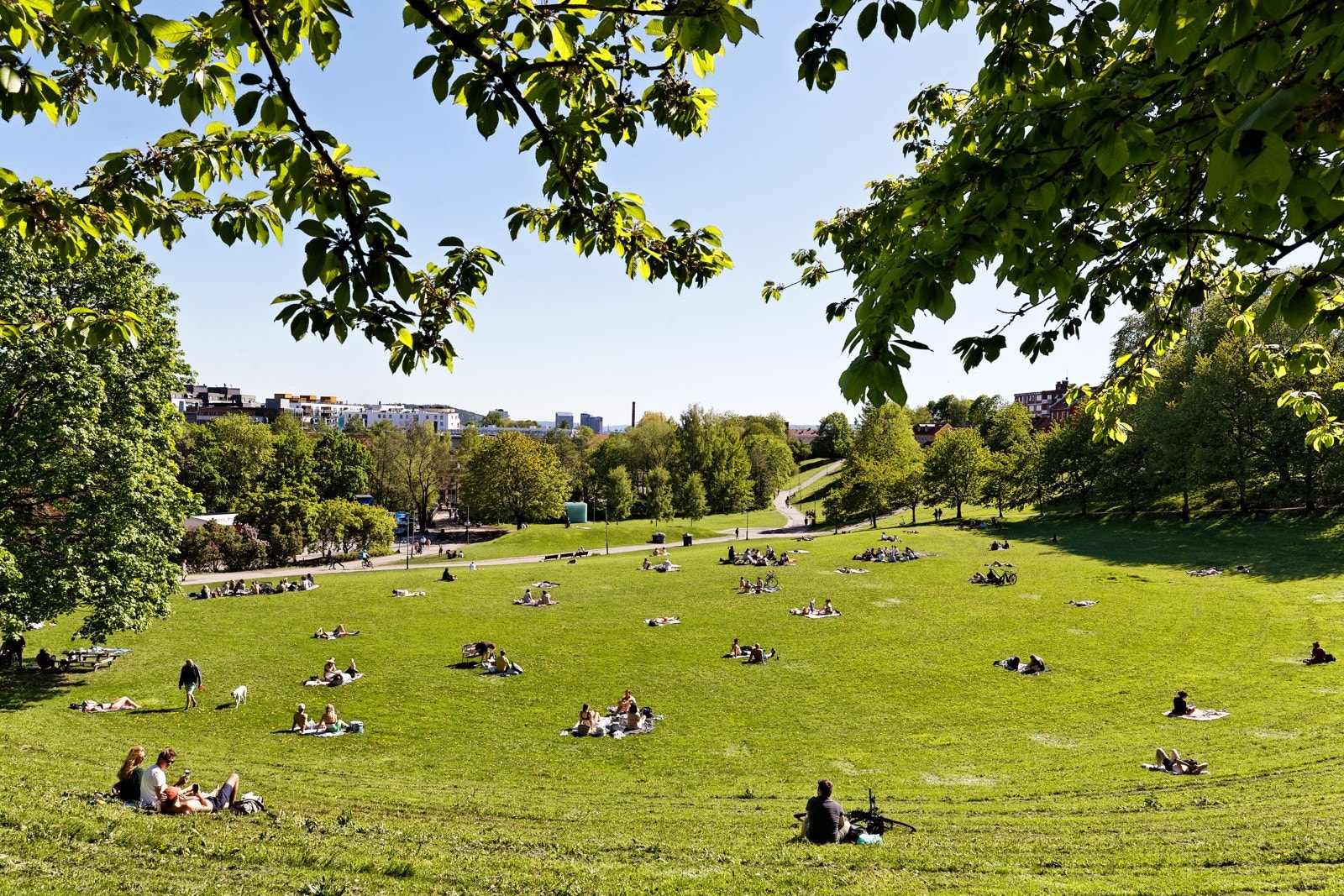 Myraløkka, Bjølsenparken og Torshovdalen er populære blant lokalbefolkningen for turgåing, piknik, og utendørsaktiviteter. Galleribilde