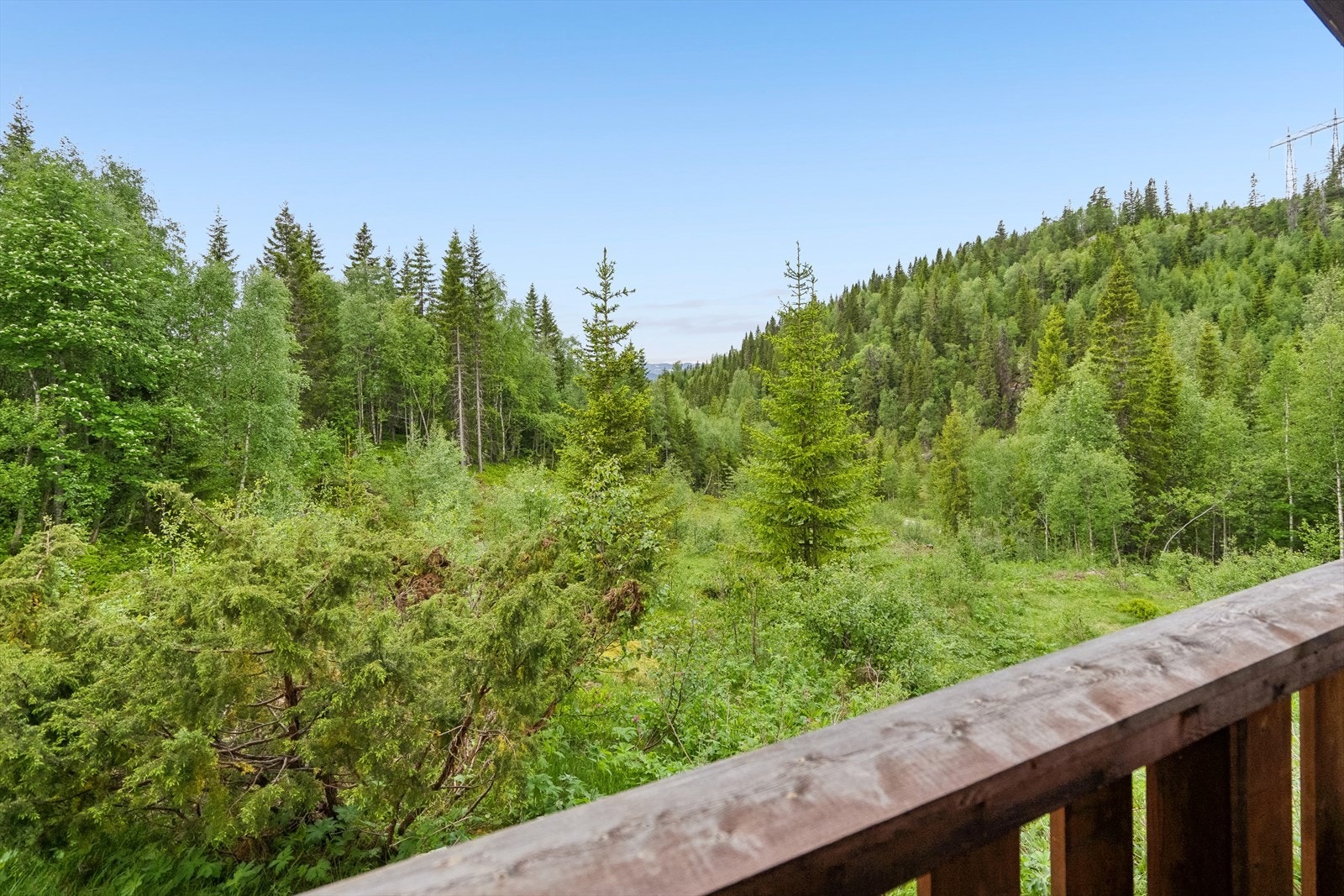 Noe utsikt fra hytta Galleribilde