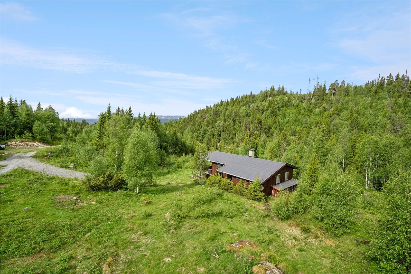 Velkommen til Kvisle Skog Galleribilde