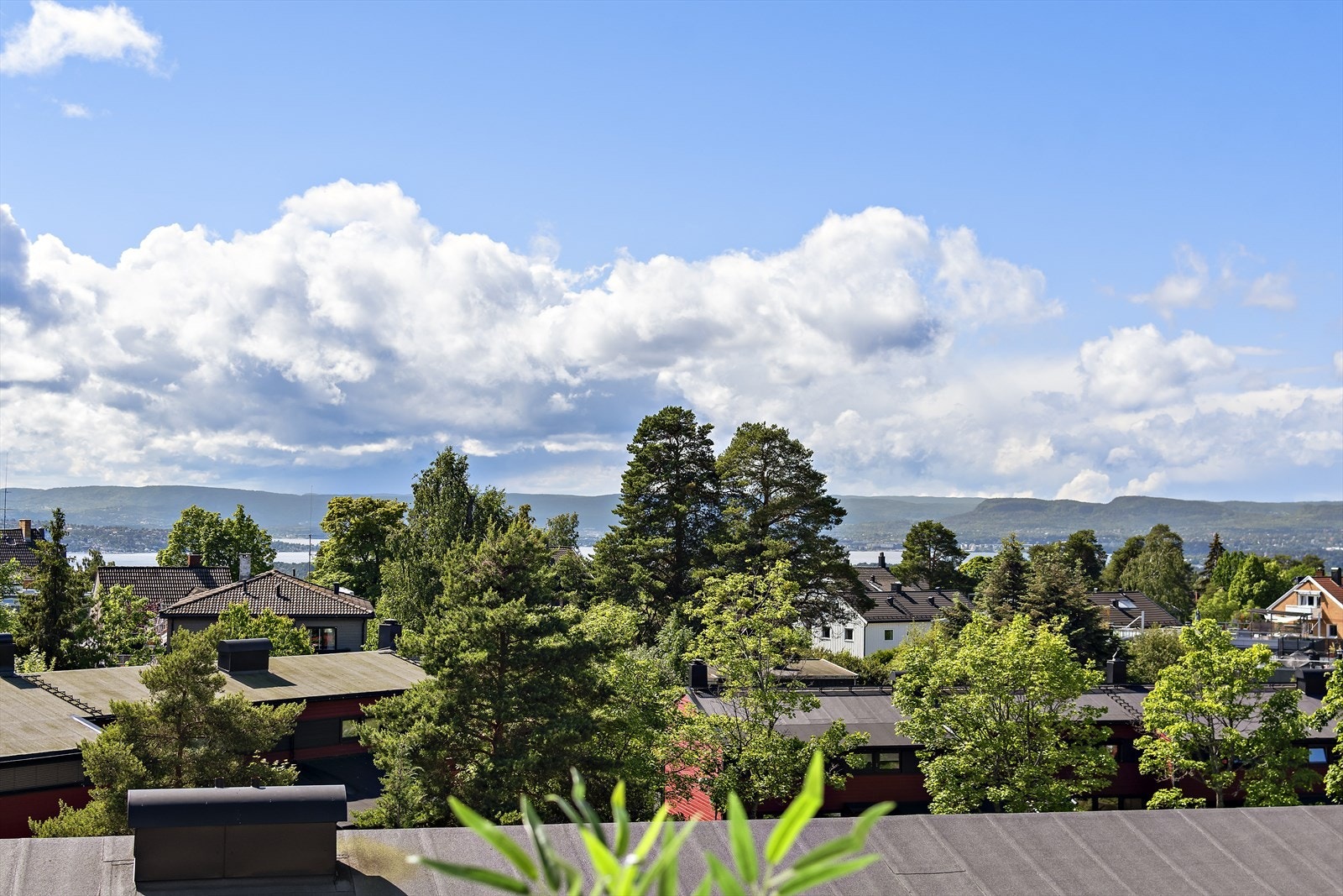 Utsikten over nabolaget. Galleribilde