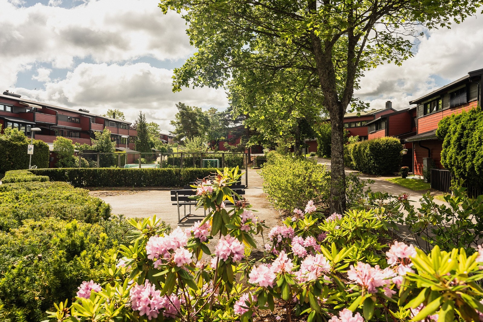 Et herlig bosted med frodig beplantning. Galleribilde