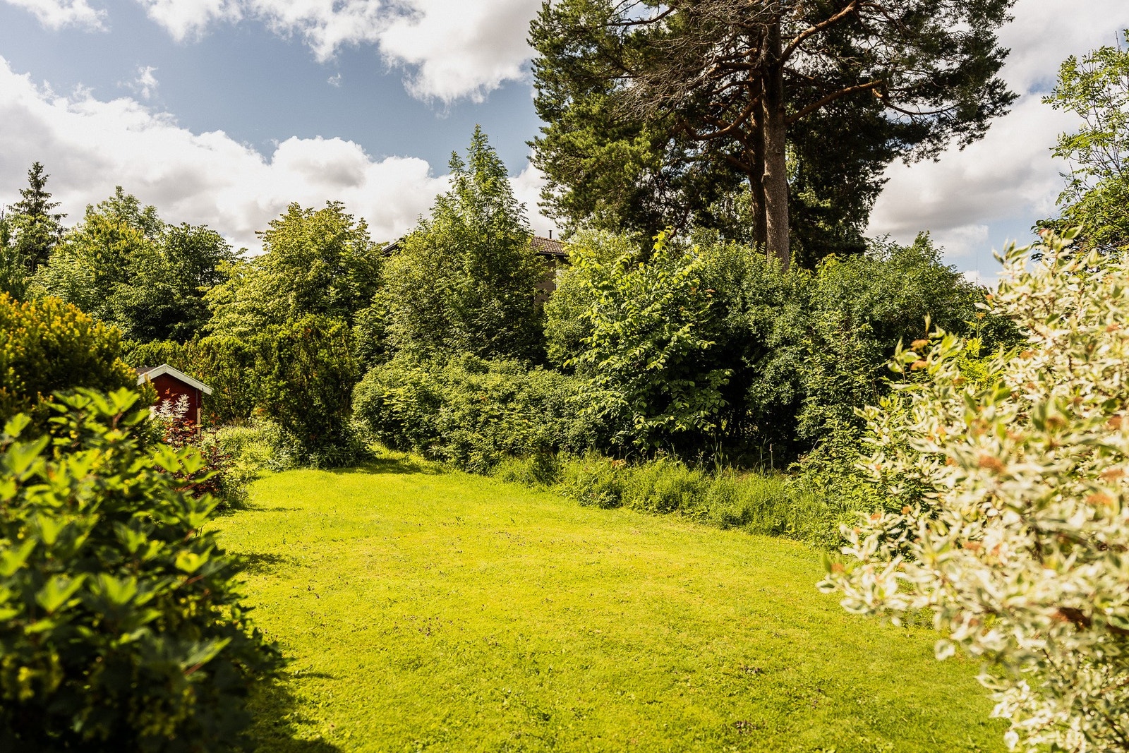 Grønt fellesområde med plen og beplantning. Galleribilde