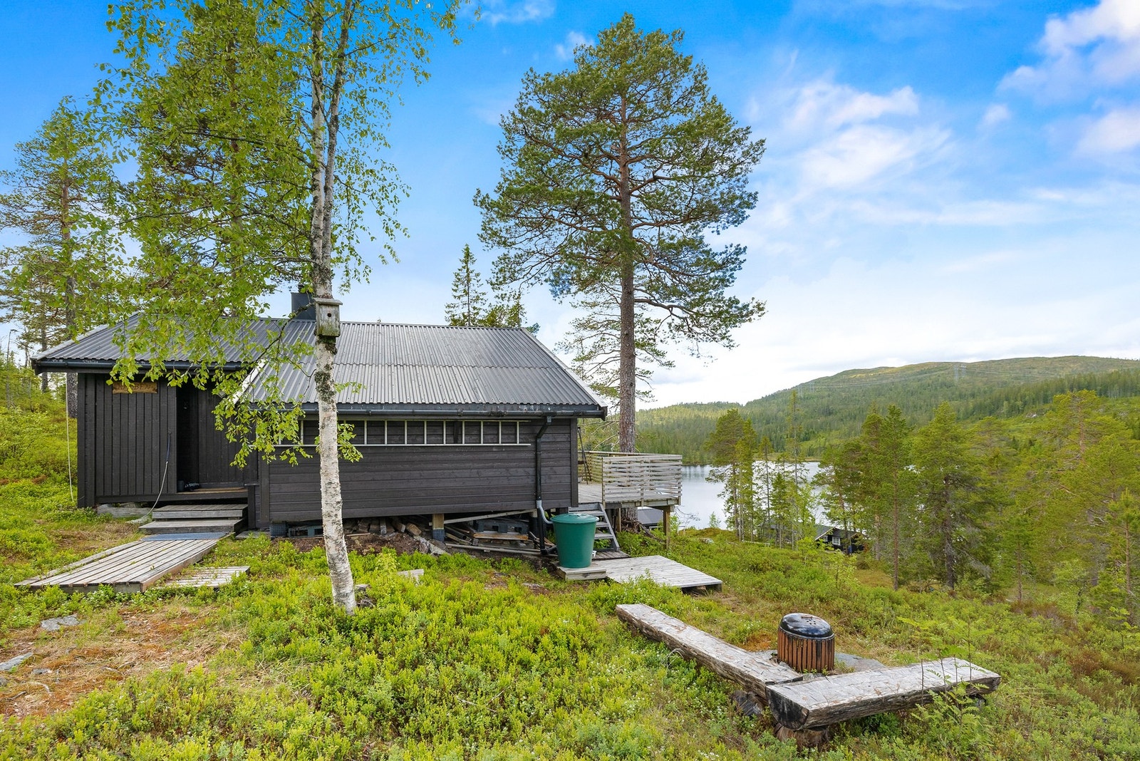 Punktfestet naturtomt på et lite høydedrag Galleribilde