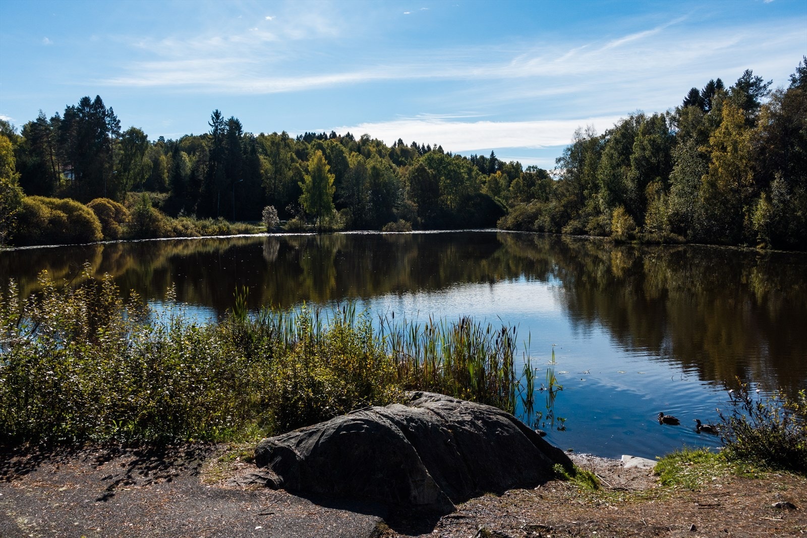 Det lokale Tussetjernet er et yndet sted for store og små. Galleribilde