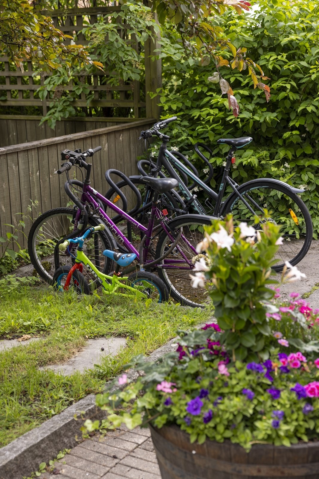 Sykkelparkering og fin beplantning like utenfor bygget. Galleribilde