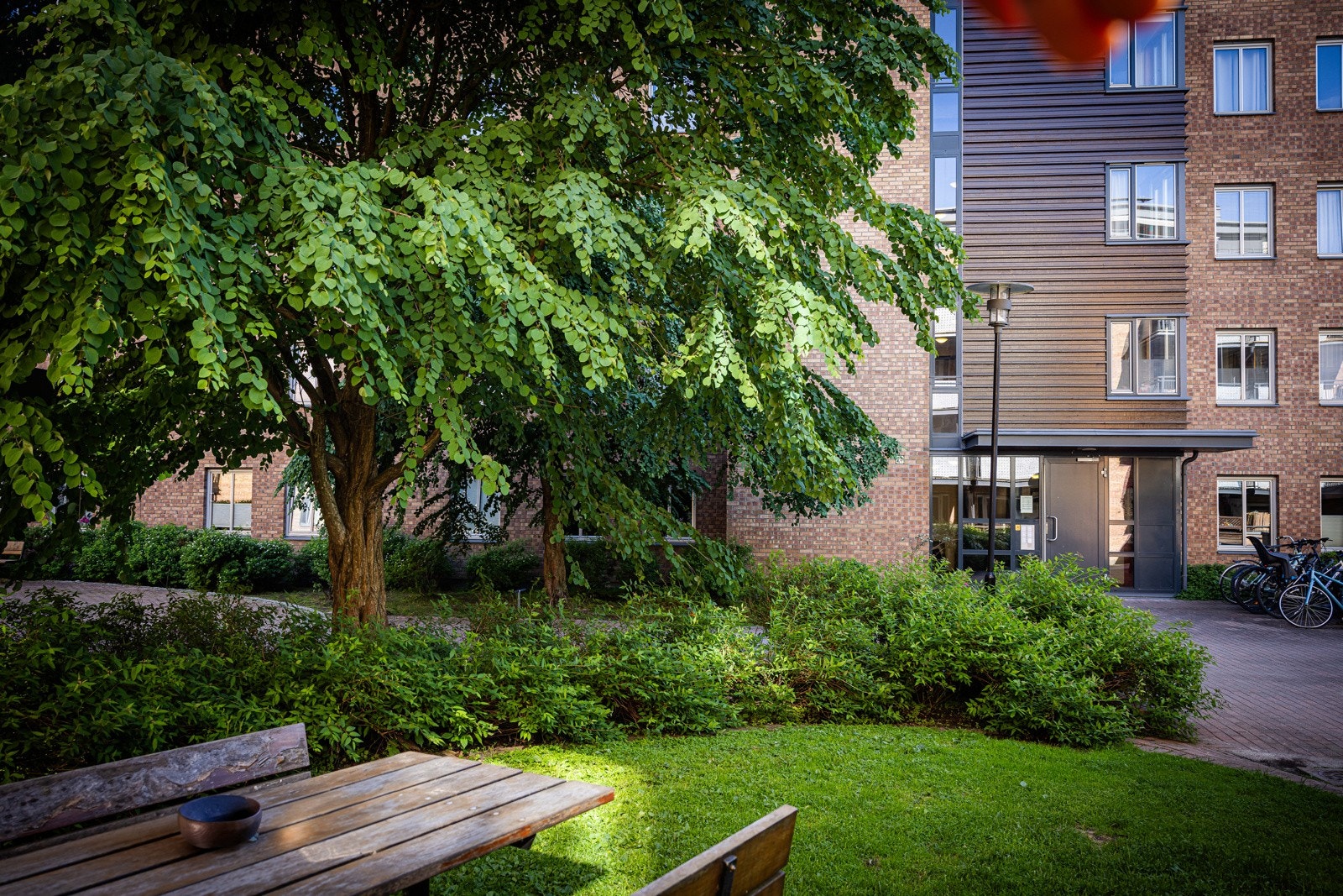 Pent opparbeidet tomt med asfalterte veier, beplatning og sykkelparkering. Galleribilde