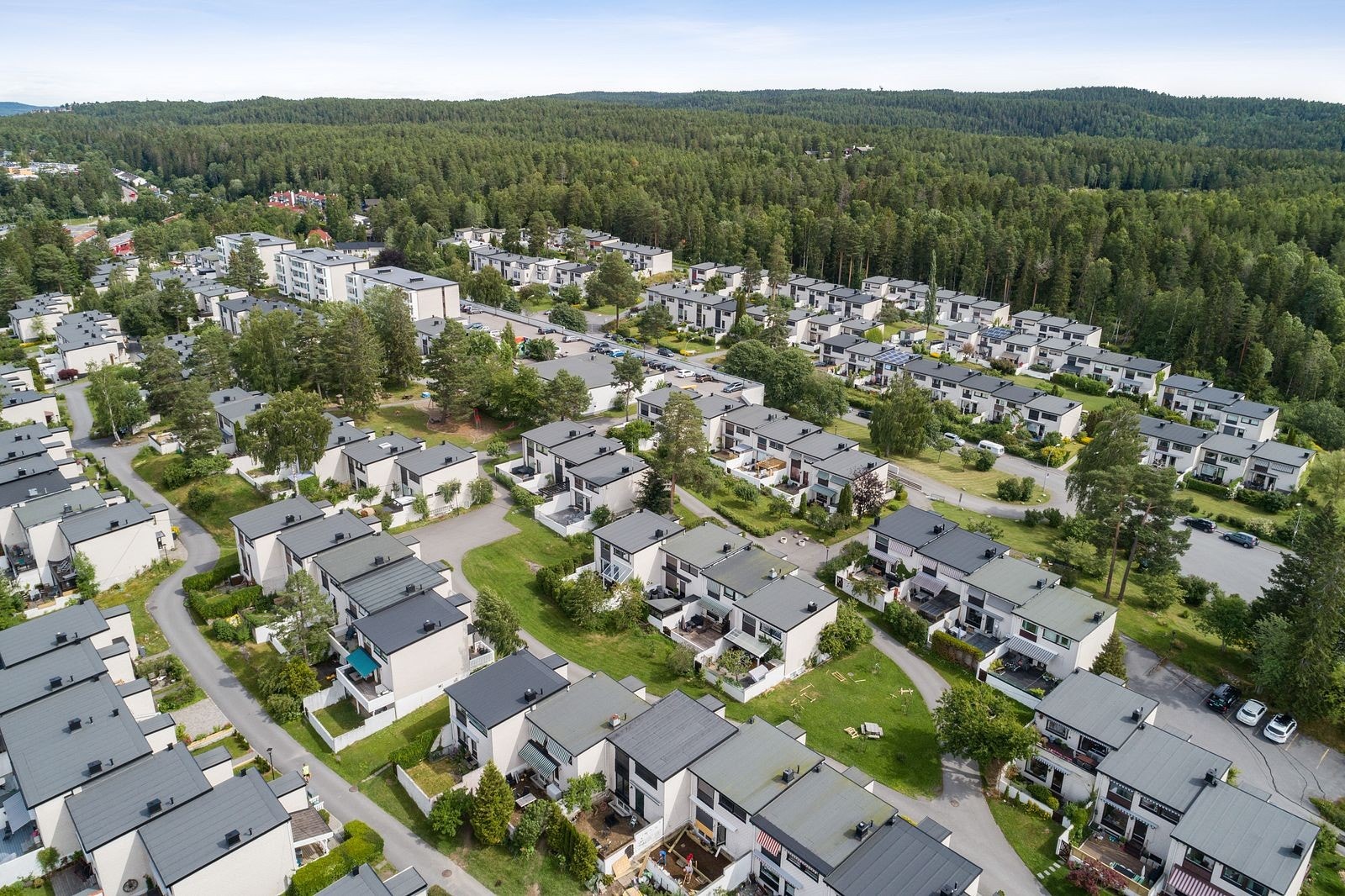 Naturen er godt bevart under utbyggingen av Tveteråsen, med gamle furutrær, små skogholt og vakre knauser. Galleribilde