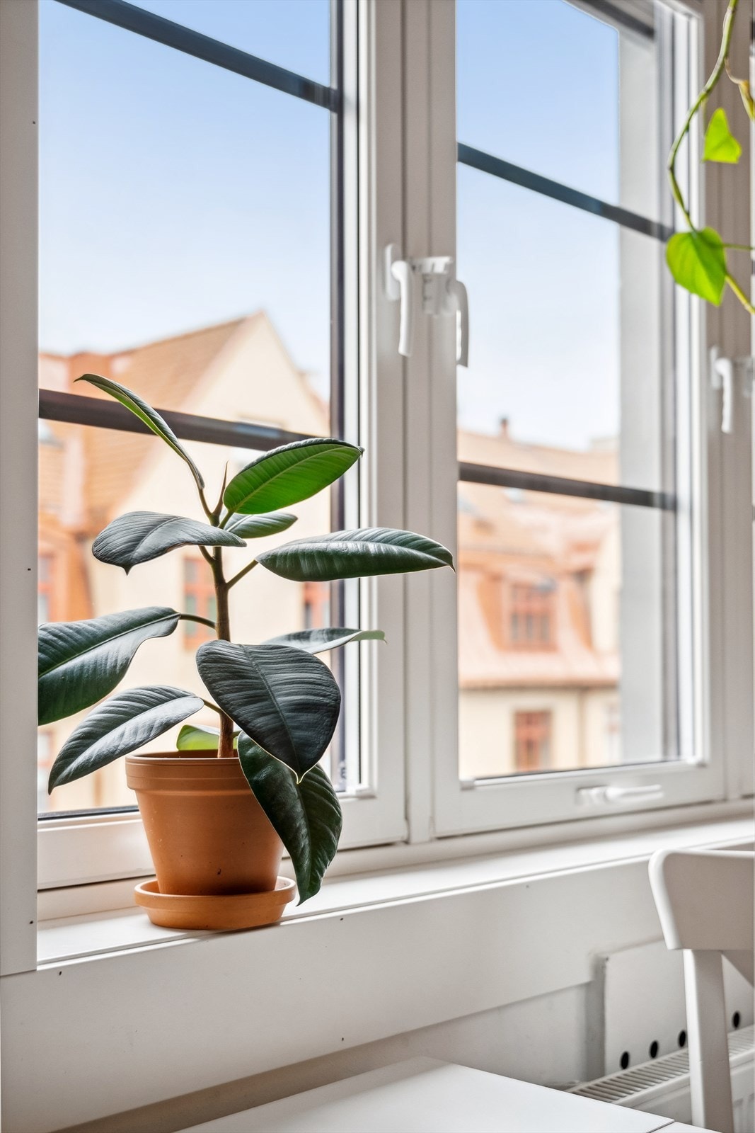 Detaljer Galleribilde