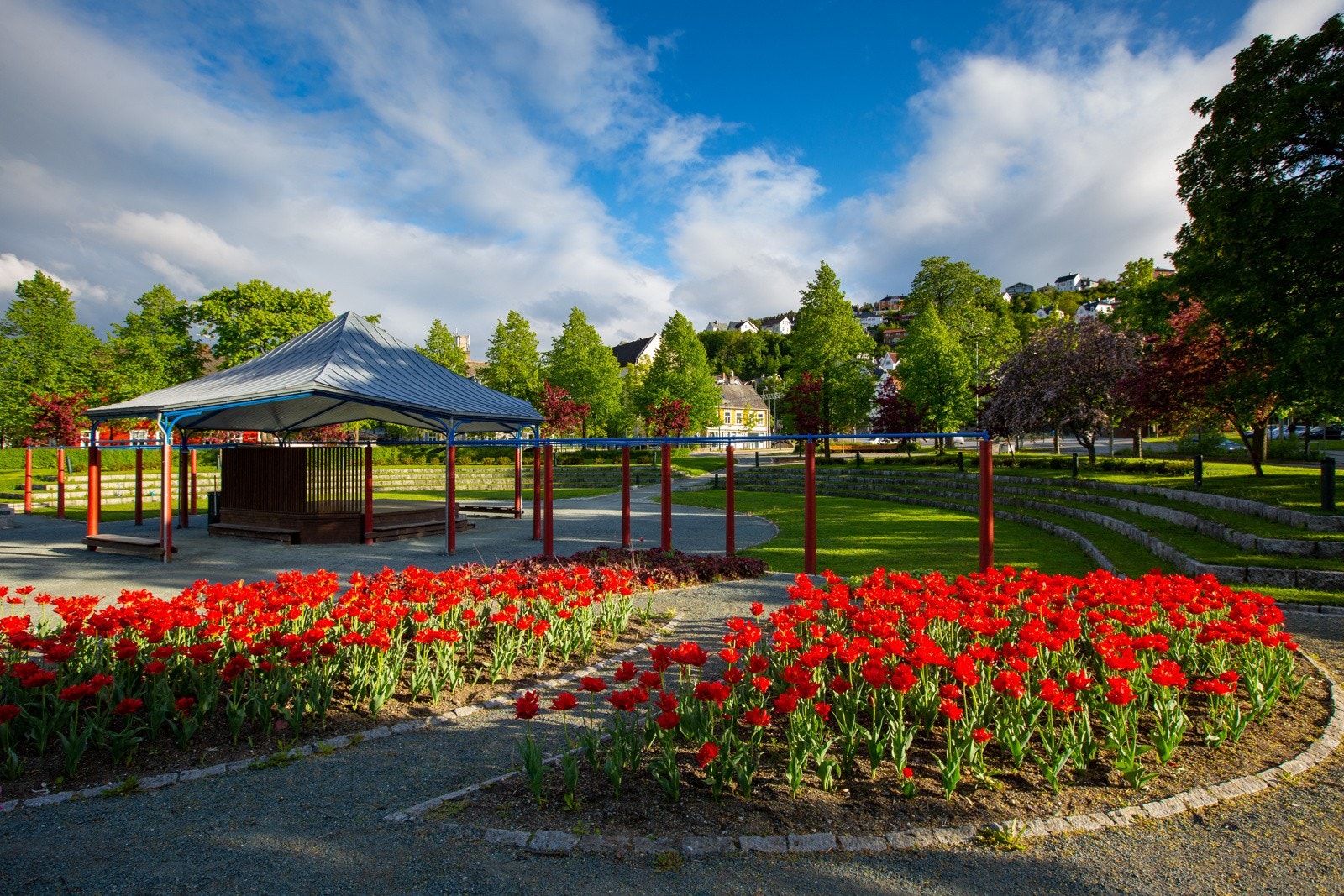Ilaparken ligger kun 500 meter fra boligen og er noe av det flotteste Trondheim har å by på av parkliv. Galleribilde