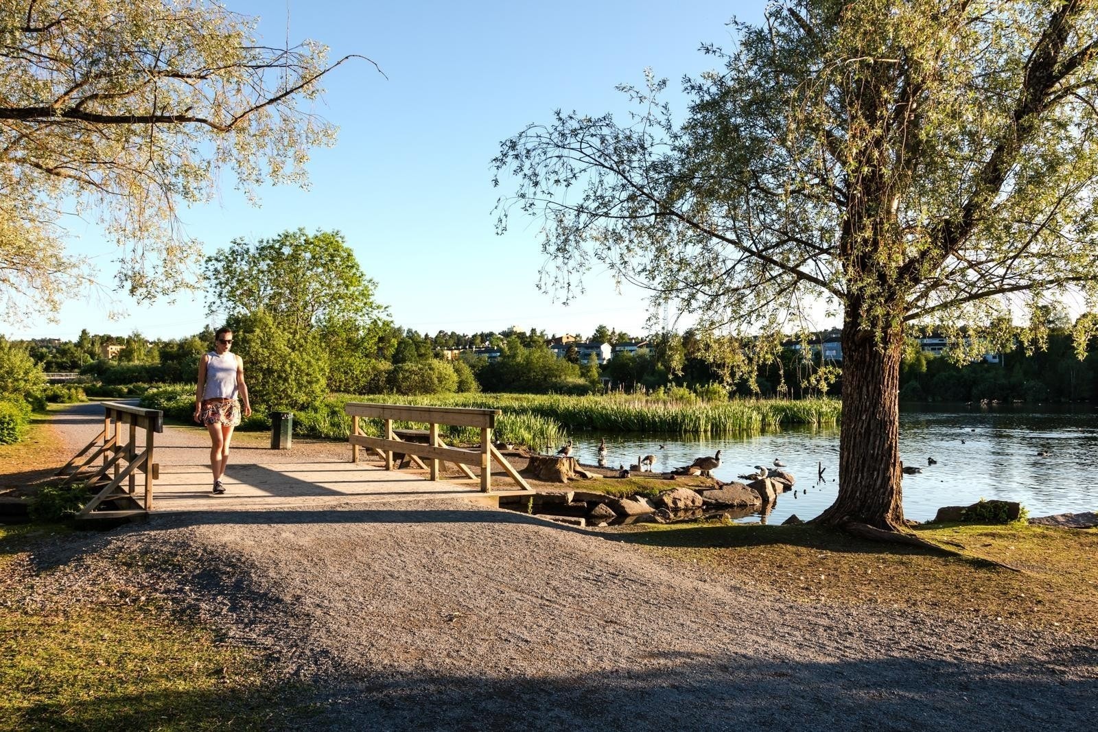 Østensjøvannet anbefales med sine flotte turstier og rike fugleliv. Fra Østensjøvannet går det skiløyper mot Rustadsaga. Galleribilde