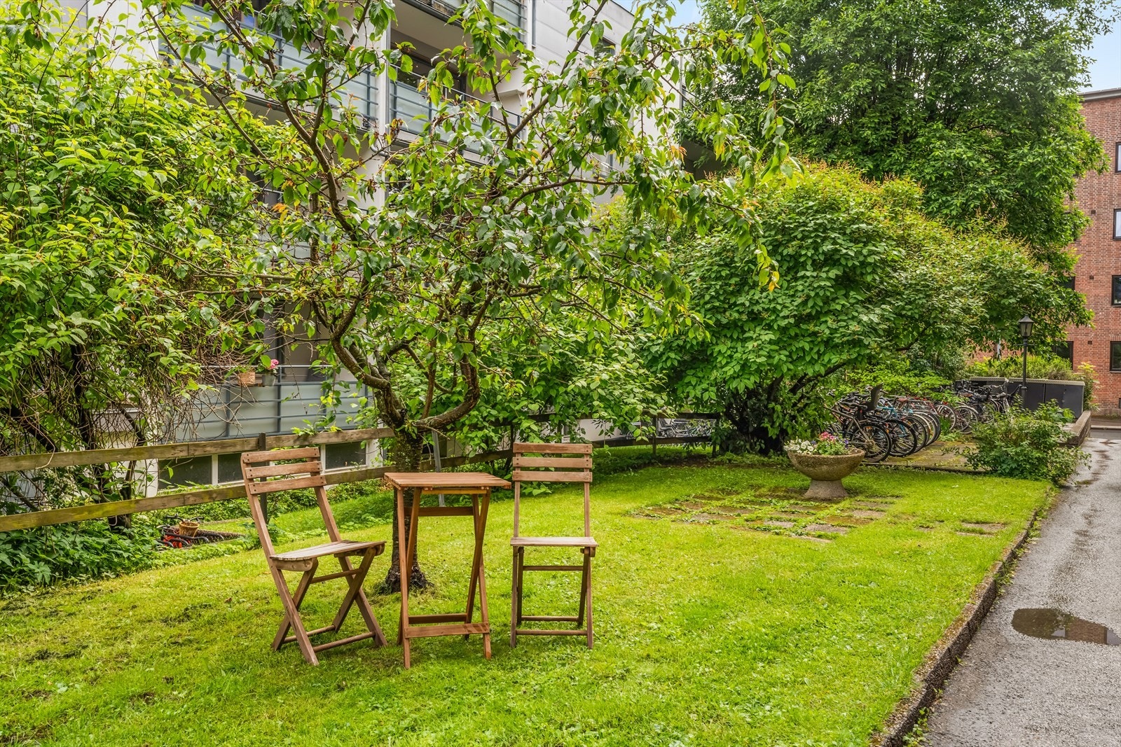 Det er også plen, trær og sykkelparkering i bakgården. Galleribilde