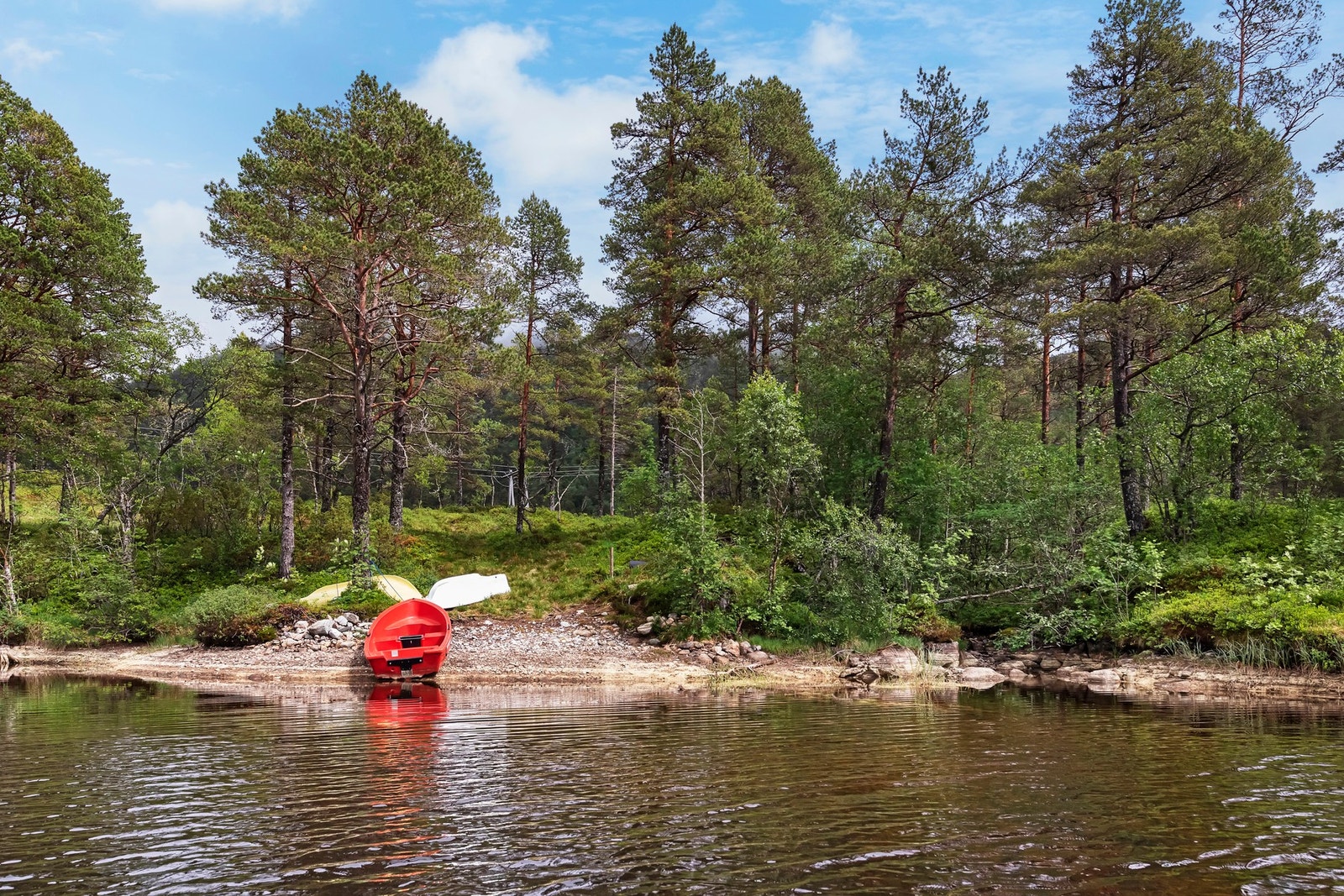 Hytta er omgitt av frodig vegetasjon og majestetiske fjell i området. Prefekt hytte for naturelskere Galleribilde