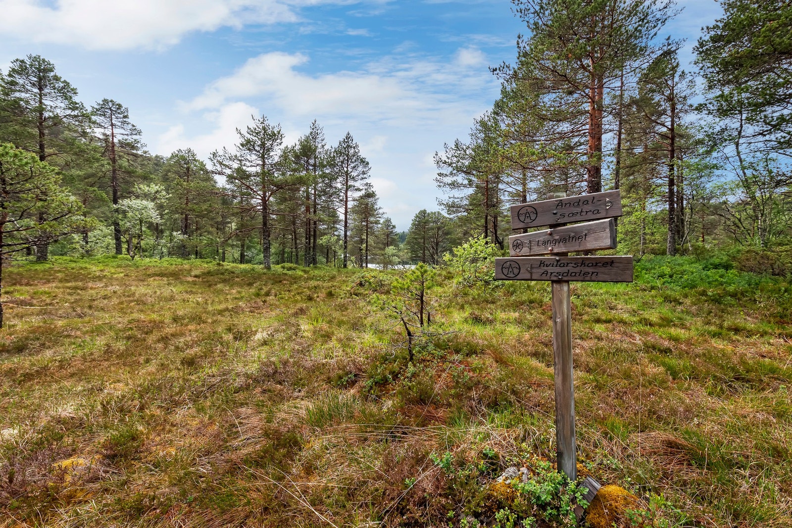 Fritidseiendommens bebyggelse består av koselig hytte og uthus på naturtomt i åpent landskap Galleribilde