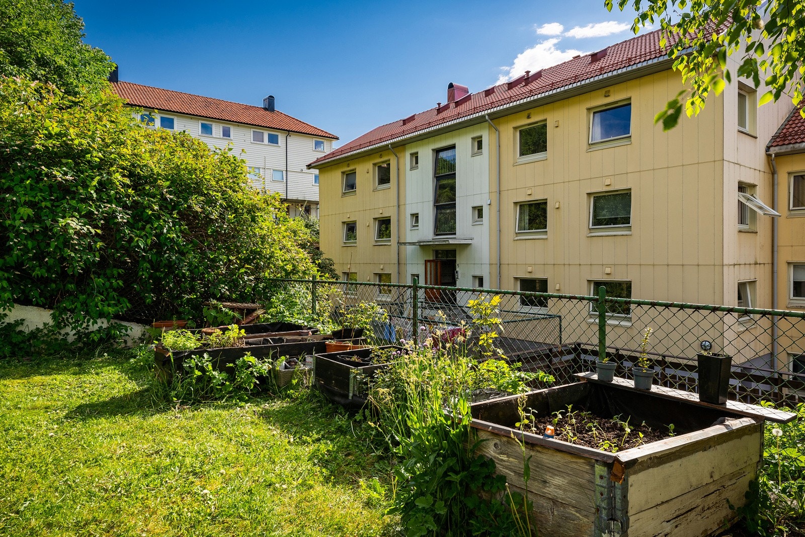 Hage Galleribilde