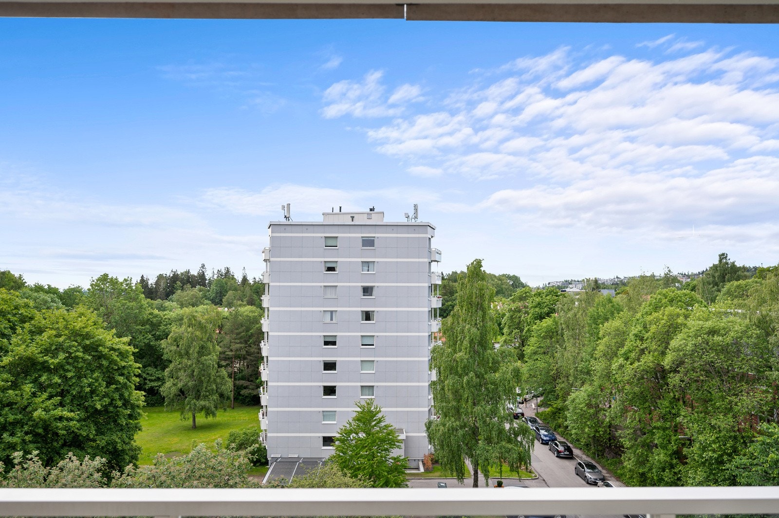 Store og grønne omgivelser. Galleribilde