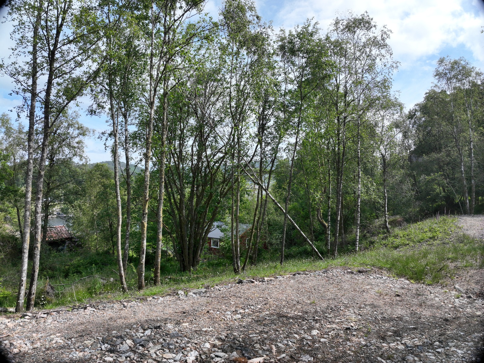 Tomt 13 Galleribilde