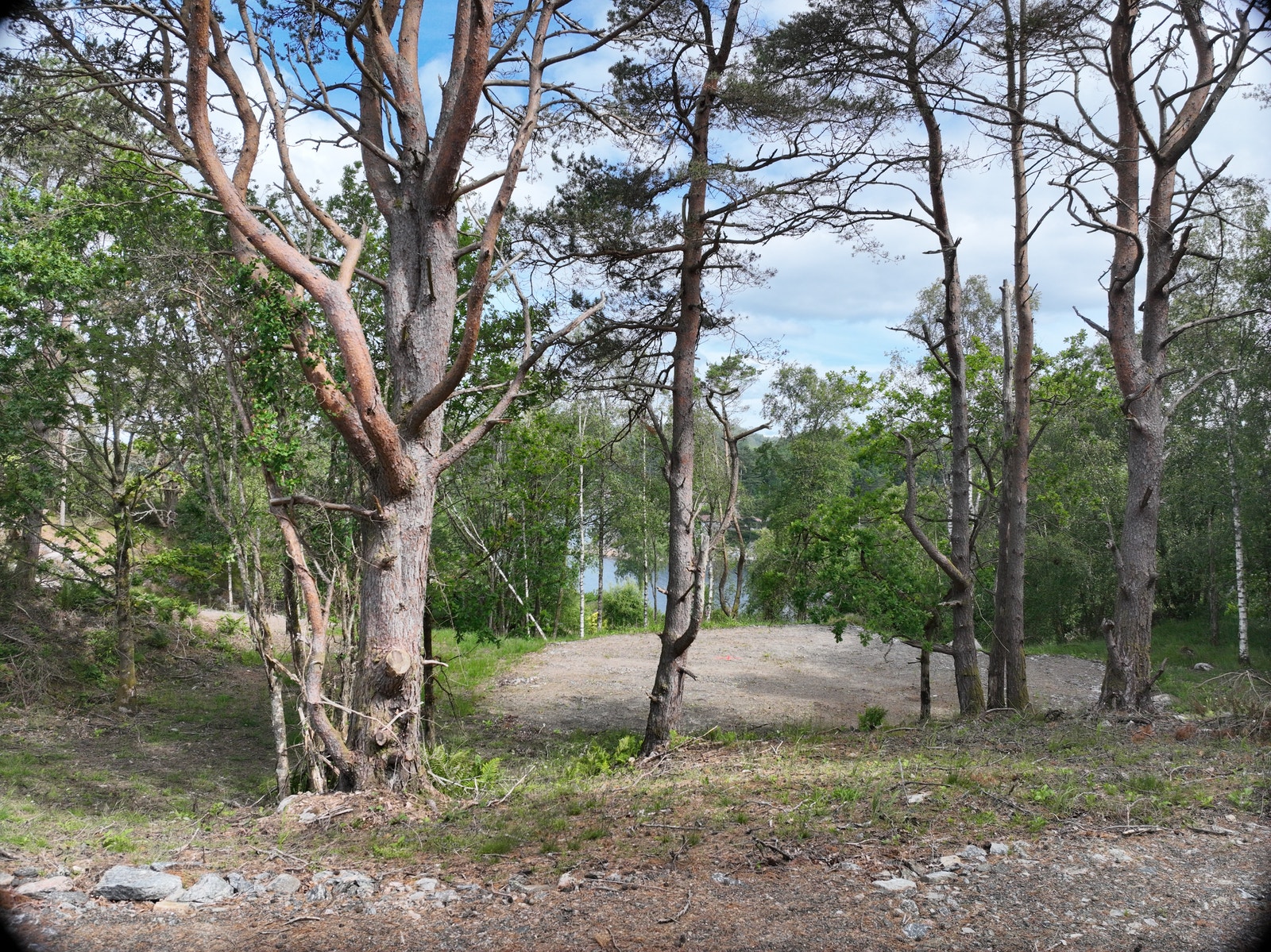 Tomt 12 Galleribilde