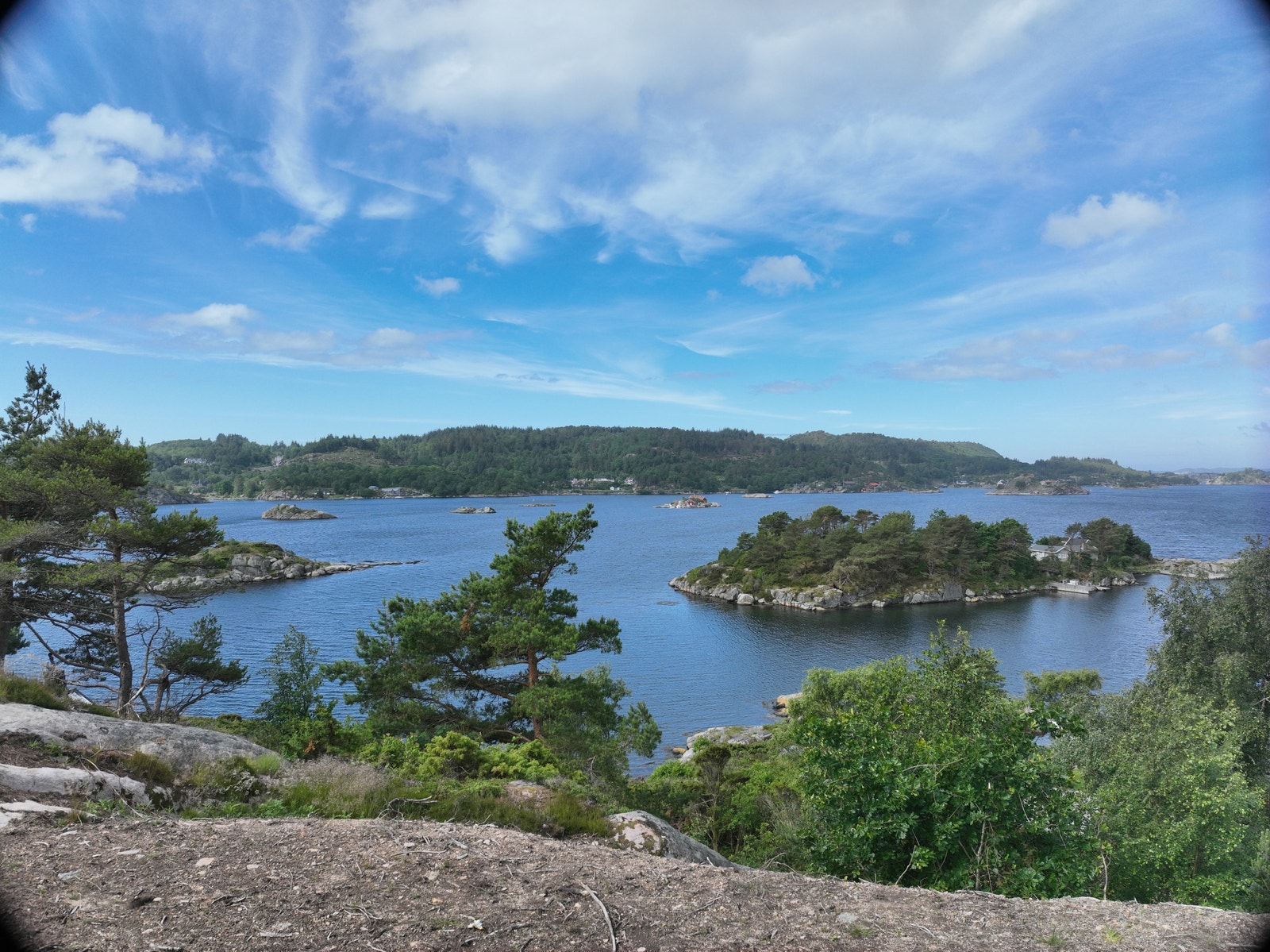 Tomt 11 Galleribilde