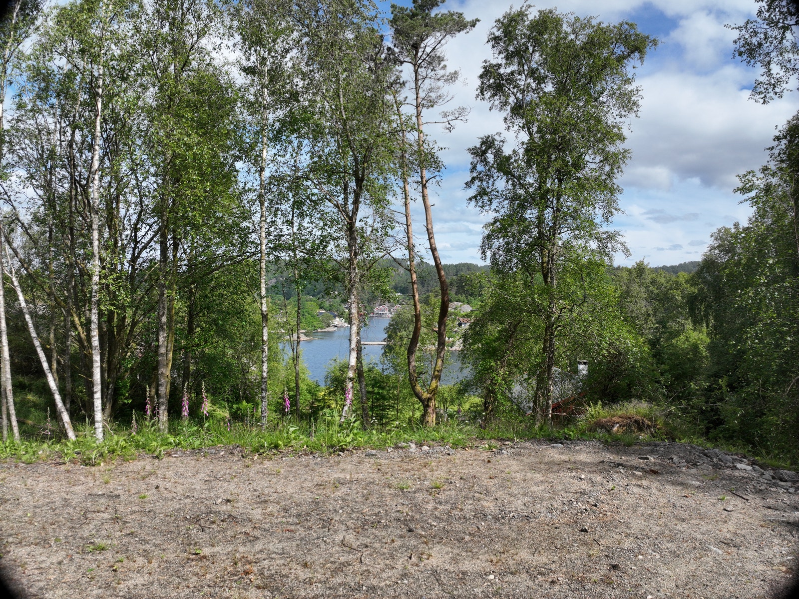 Tomt 14 Galleribilde