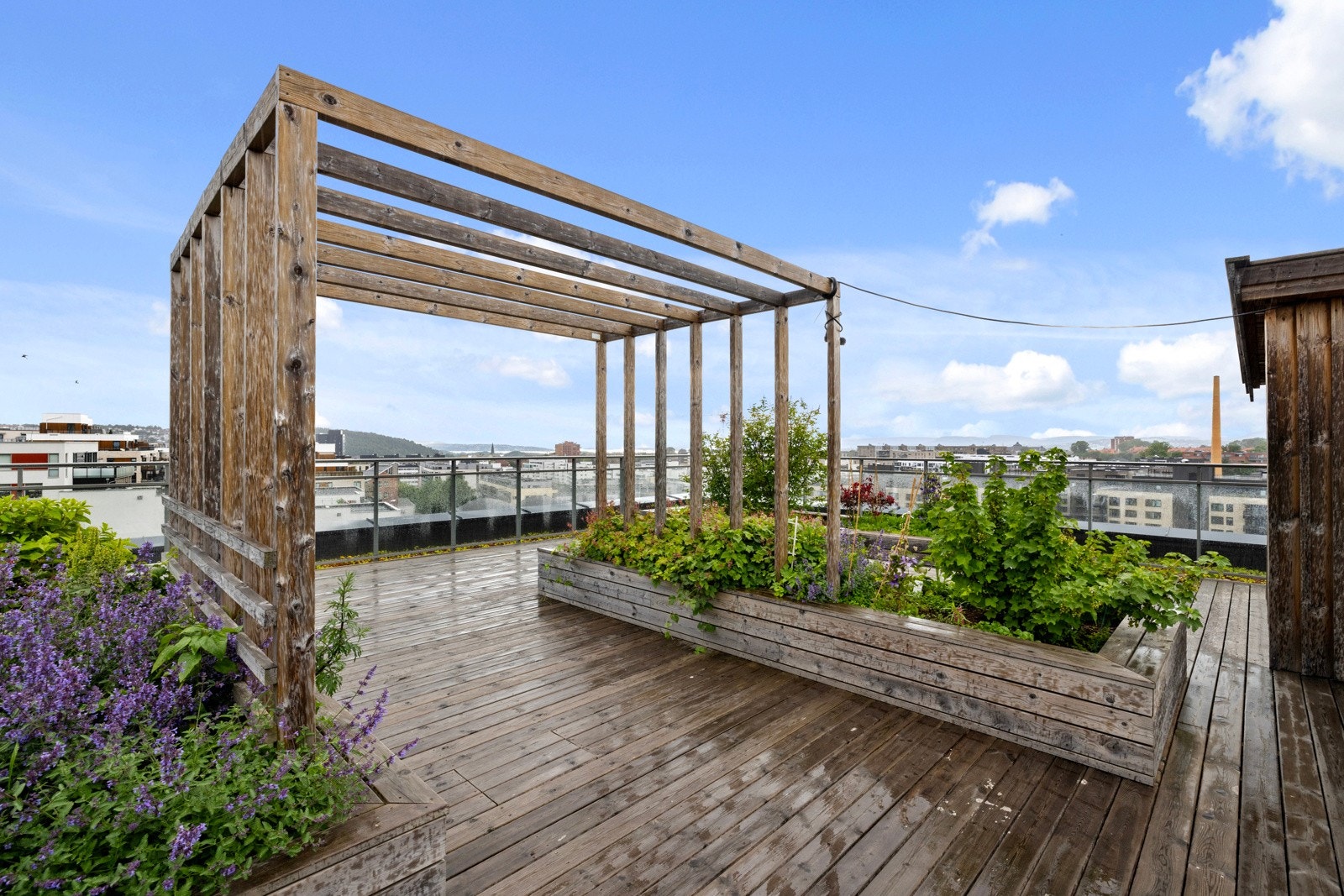 På taket er det en felles takterrasse. Galleribilde