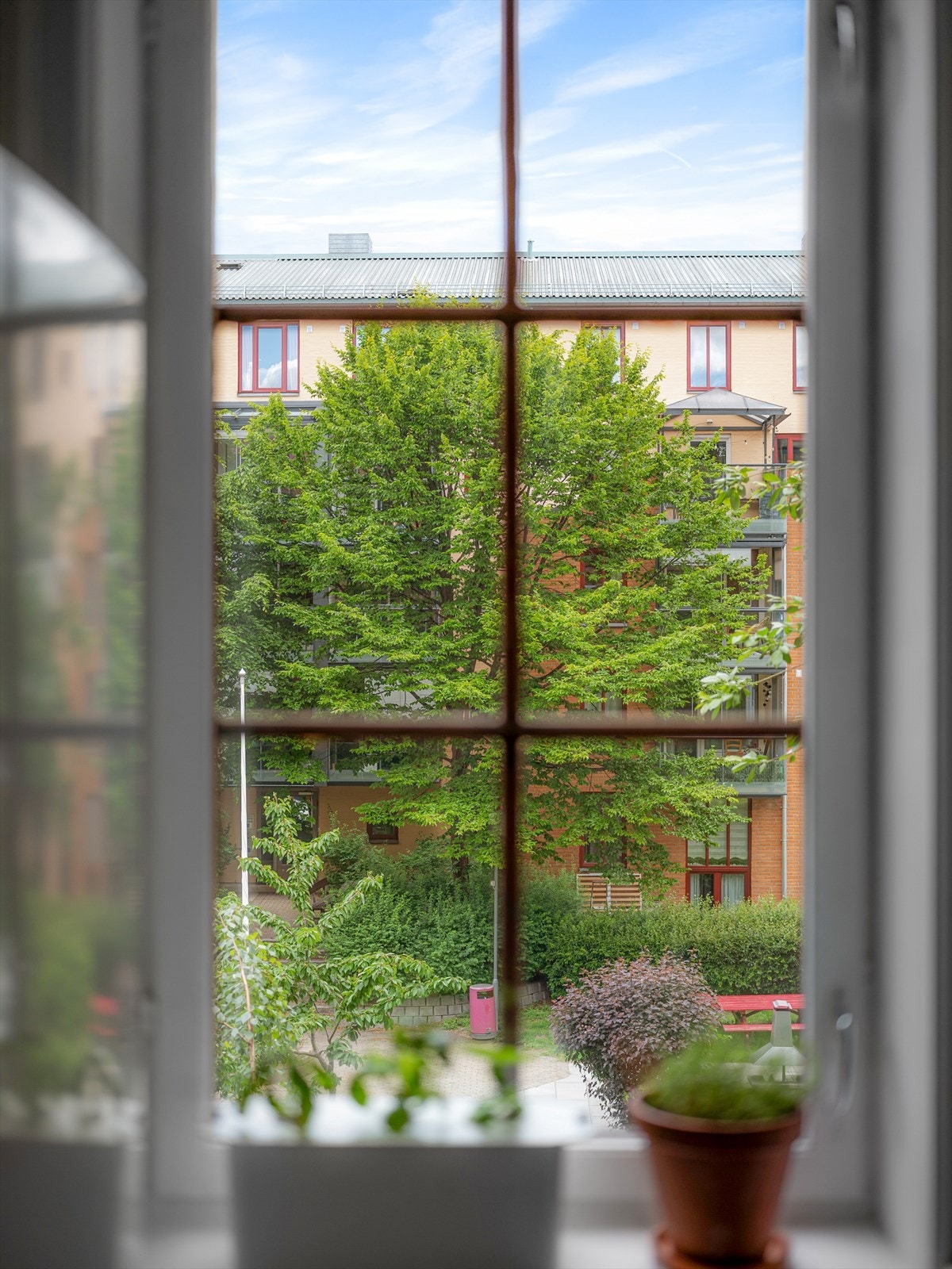 En grønn og idyllisk utsikt som endrer seg i takt med årstiden er sjelden vare midt i byen. Galleribilde