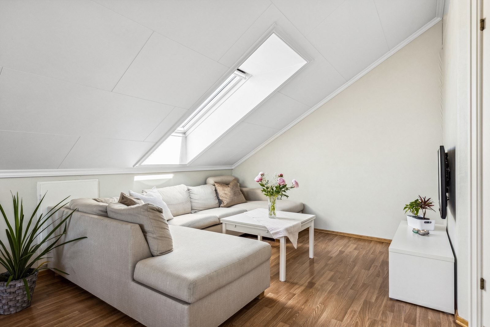 Lys, pen loftsstue. Galleribilde