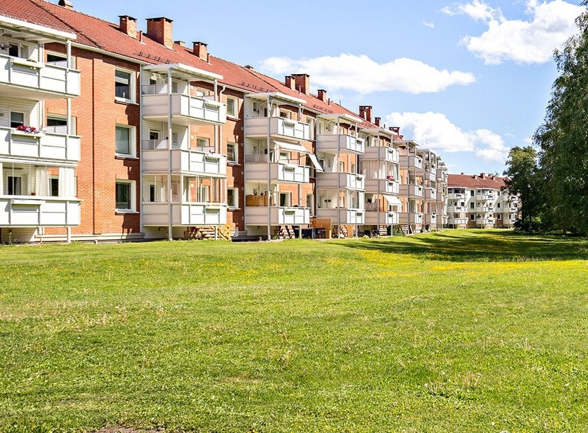 Midt i parken med nydelige solforhold Galleribilde