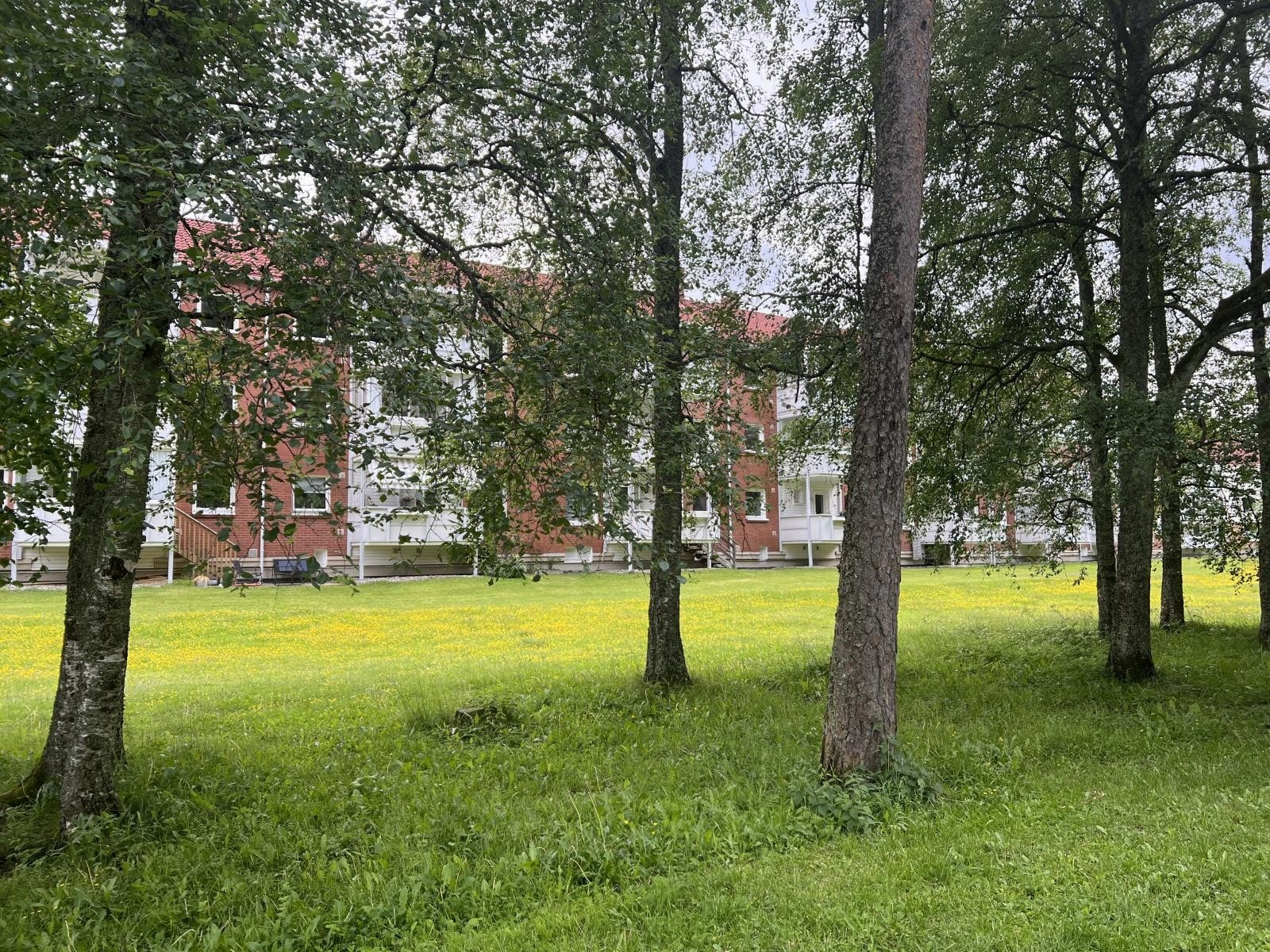 Fra parken rett forut Galleribilde