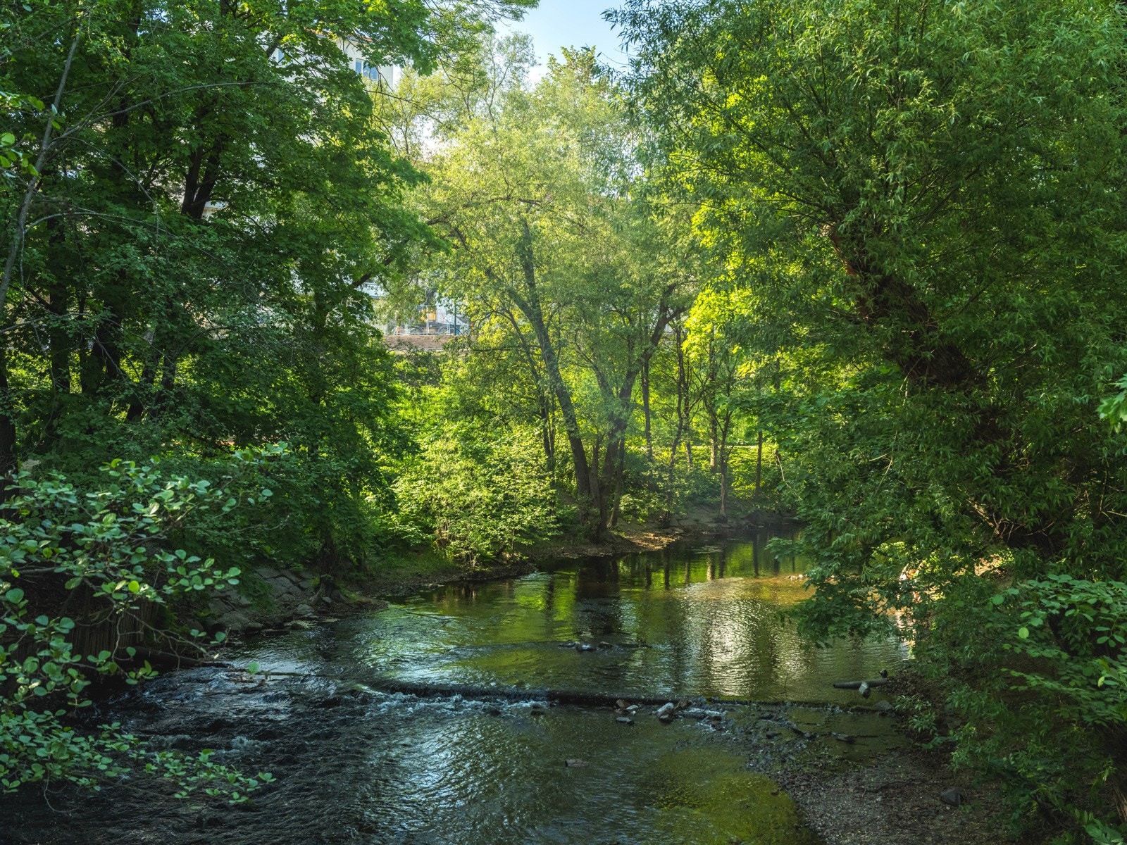 Dette er virkelig en oase midt i byen! Galleribilde