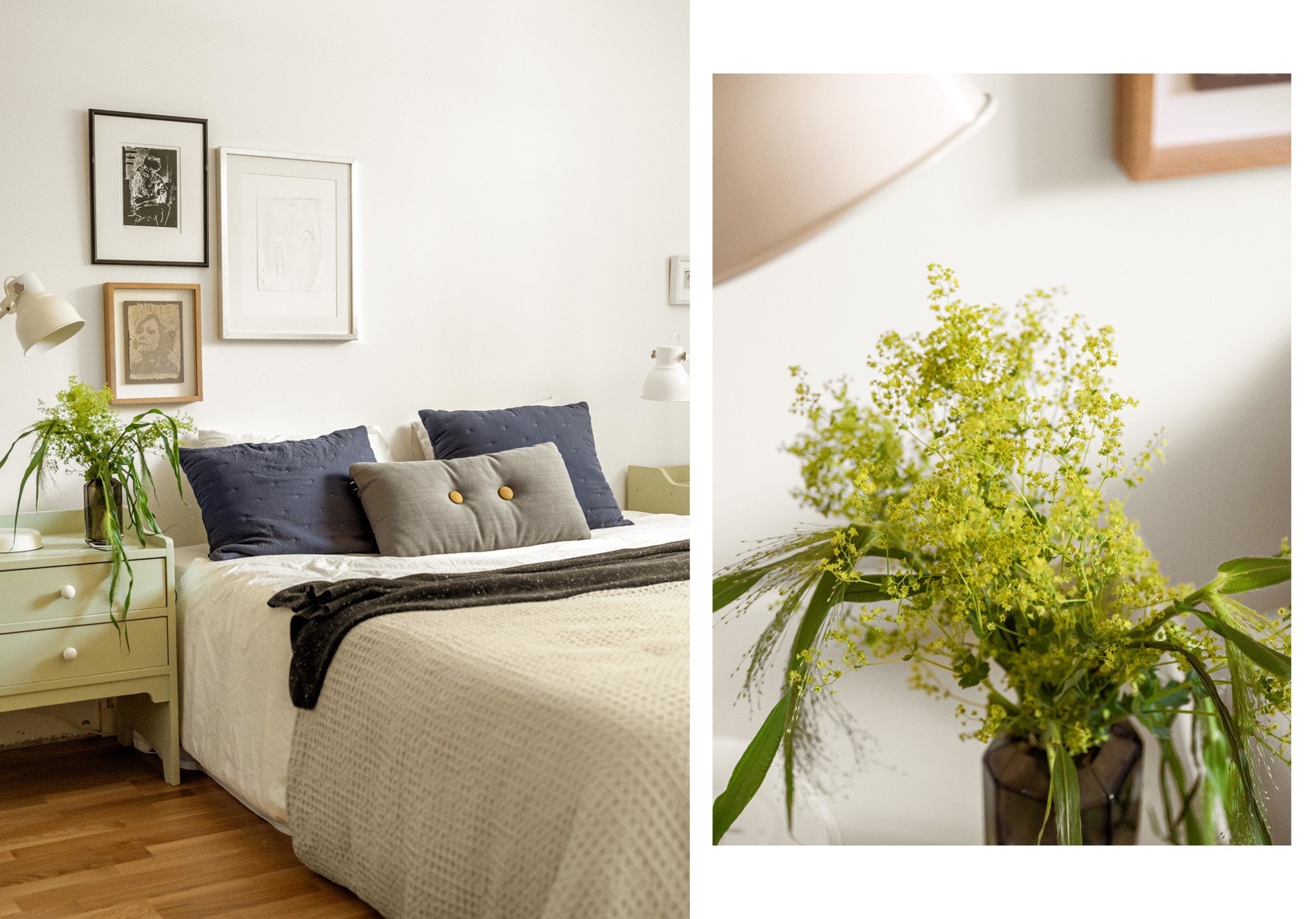 I serien "Grønne planter som skal få deg ut på glattisen" kjører vi hardt på med denne gode kandidaten. Galleribilde