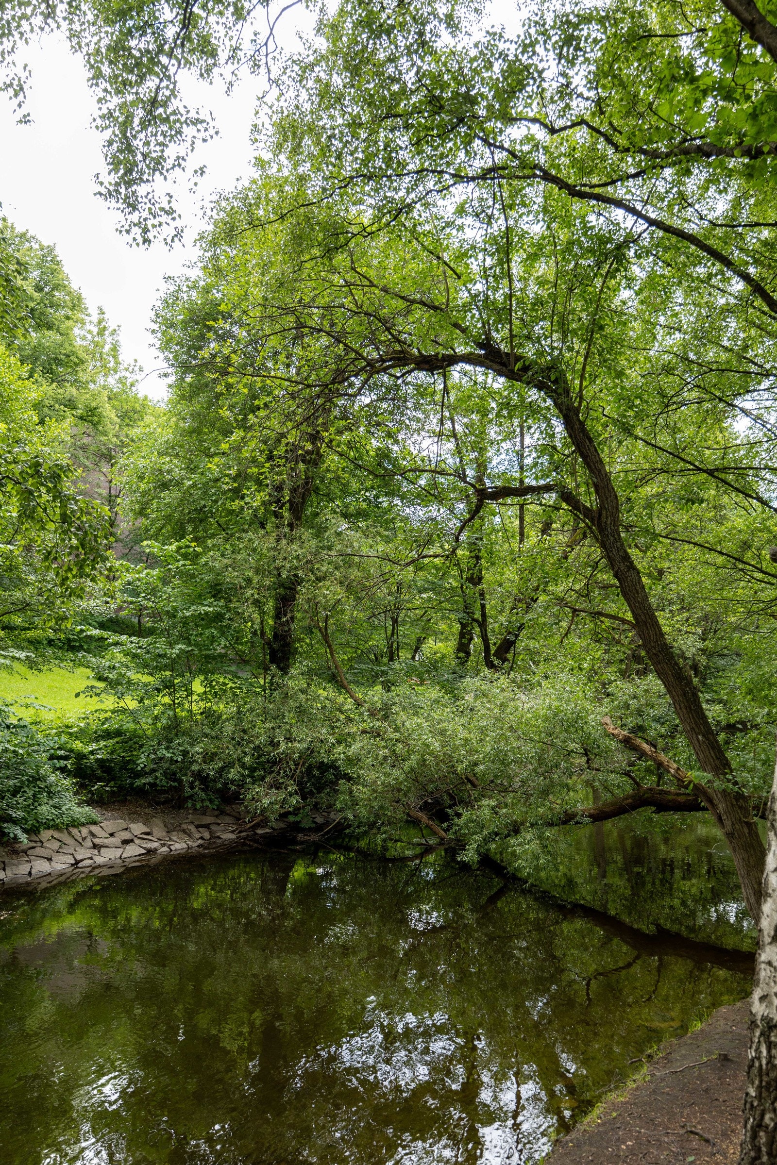 Rett utenfor døren finner du den vakreste delen av Akerselva. Galleribilde