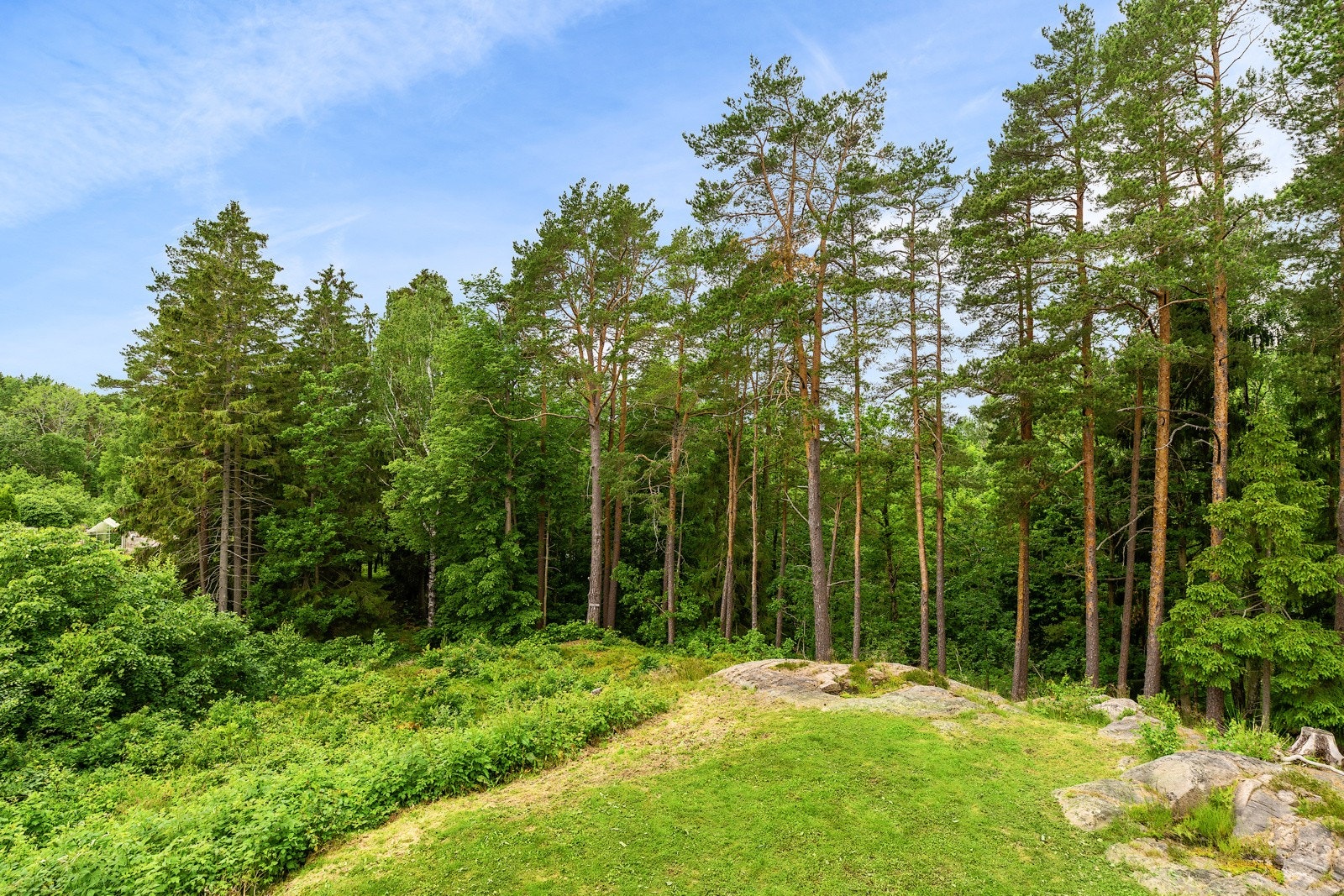 Grøntarealer omkranser store deler av eiendommen. Her kan man sitte høyt og fritt uten innsyn. Galleribilde