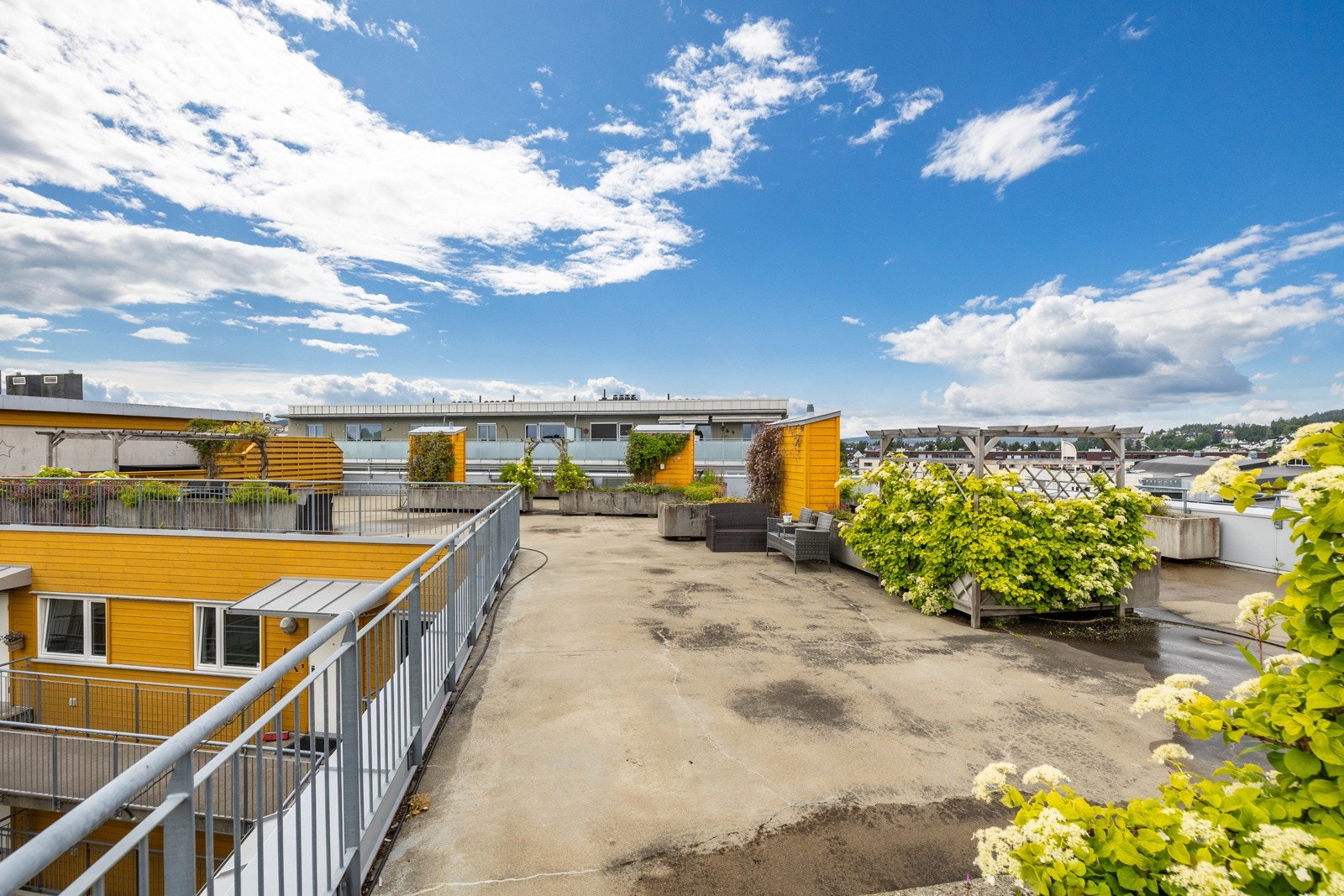 Felles takterrasse med mye beplantning og gode solforhold Galleribilde