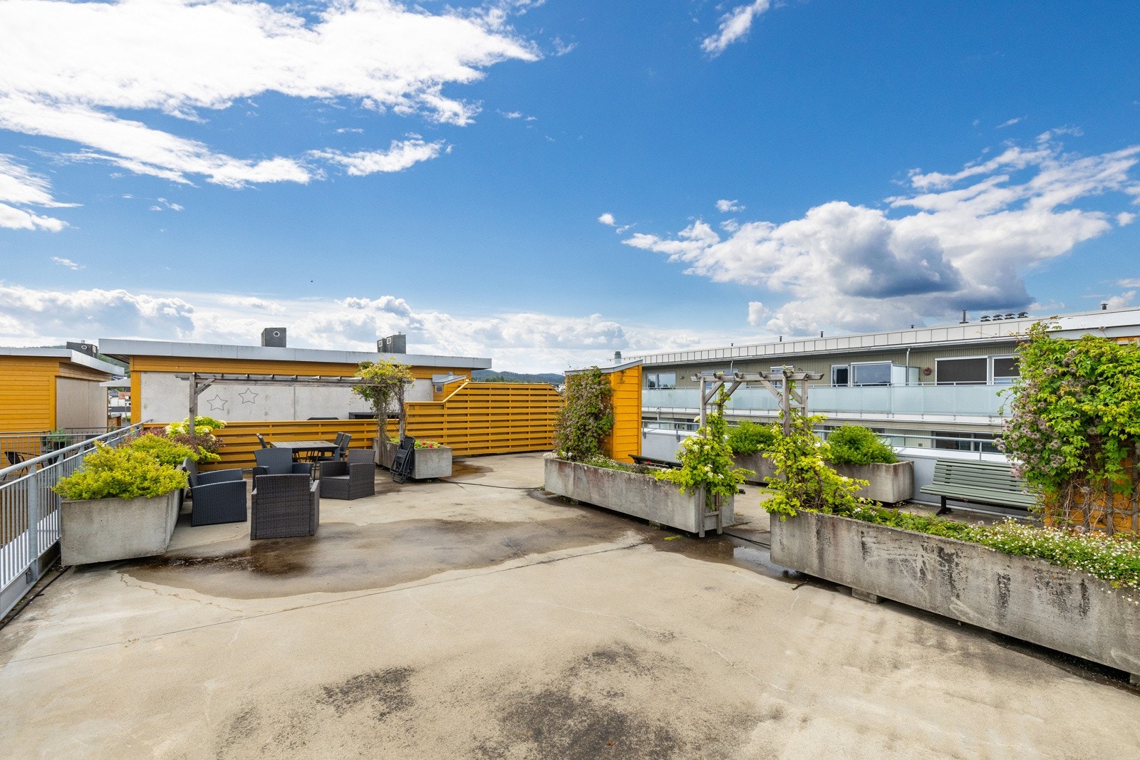 Takterrassen Galleribilde