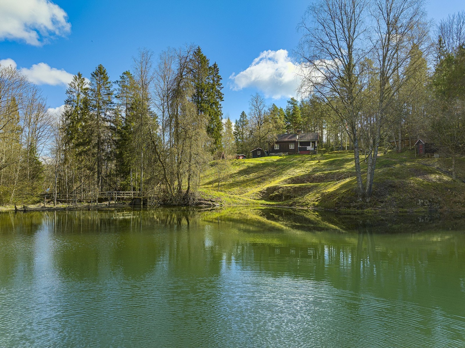 Liadammen og "Vestli" Galleribilde