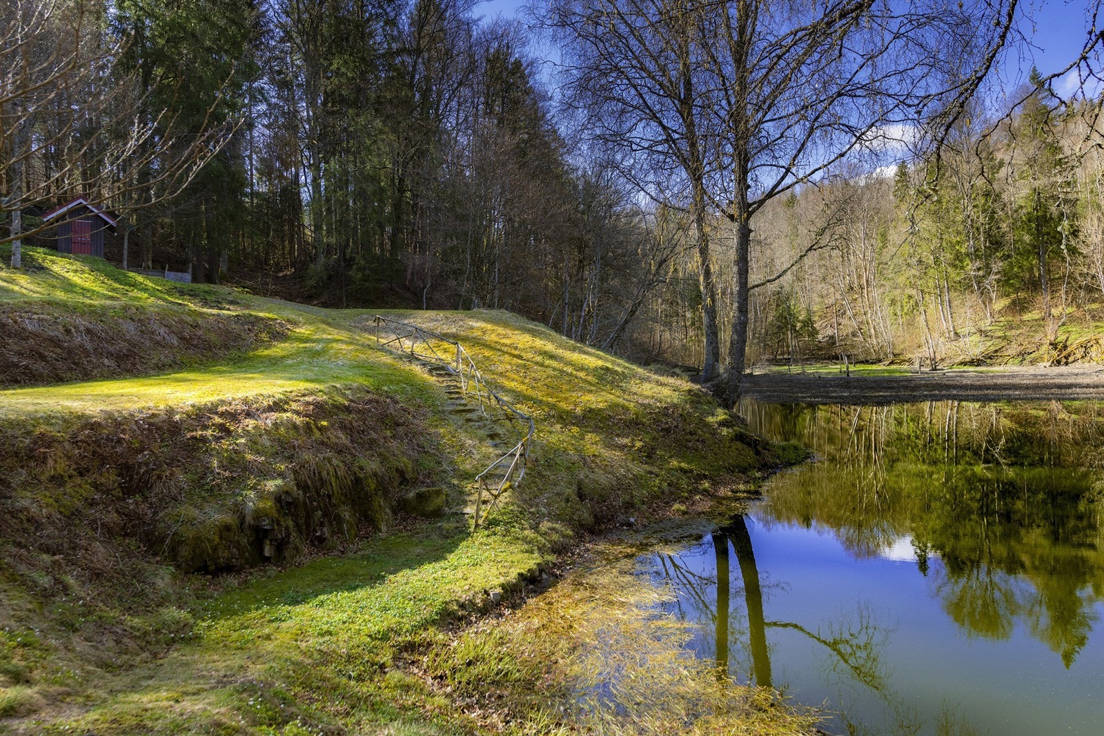 En usjenert eiet tomt på 3424 kvm, her ligger hytte sentralt plassert på den skrånende eiendommen Galleribilde