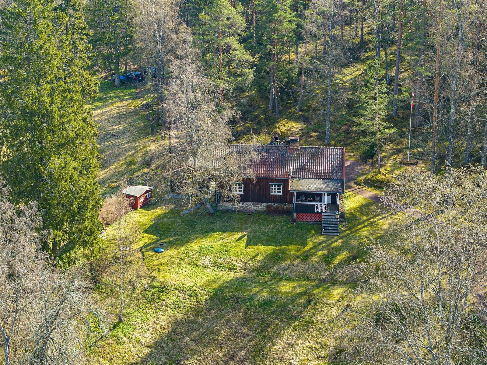 Sett ovenfra Galleribilde