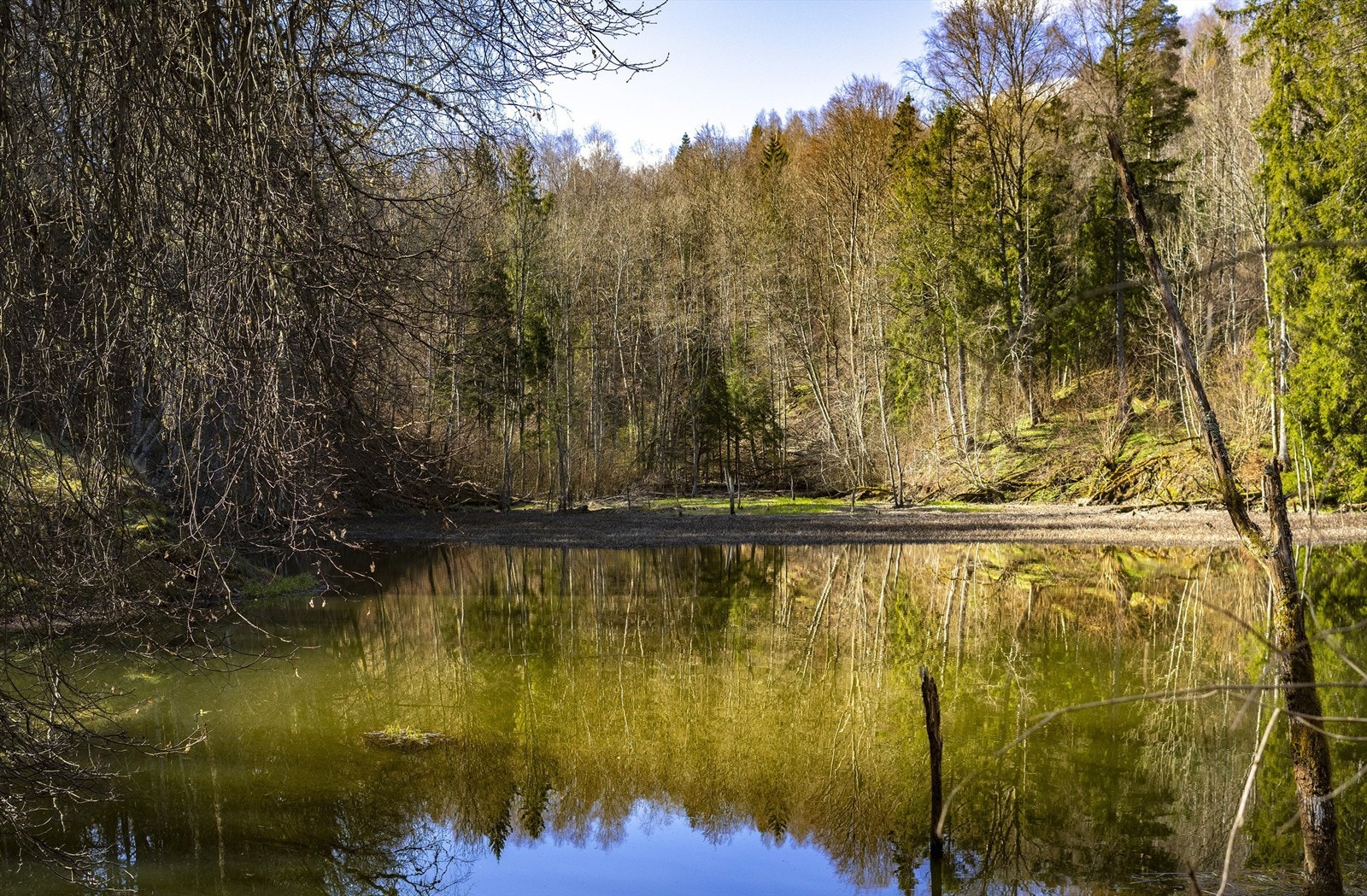 Liadammen Galleribilde