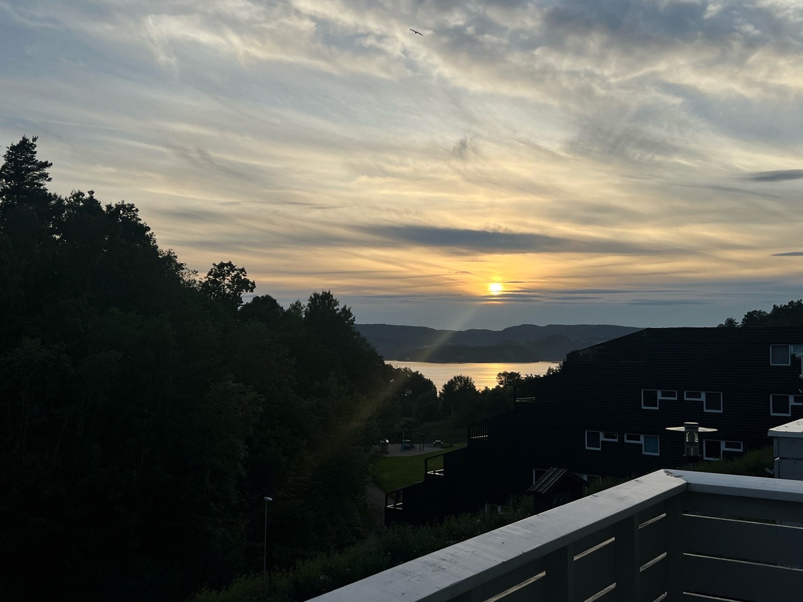 Selgers egne bilder Galleribilde