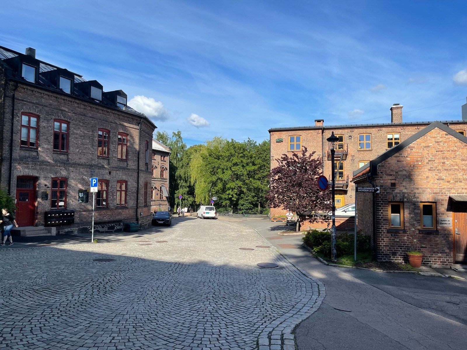 Nærområdet. Galleribilde