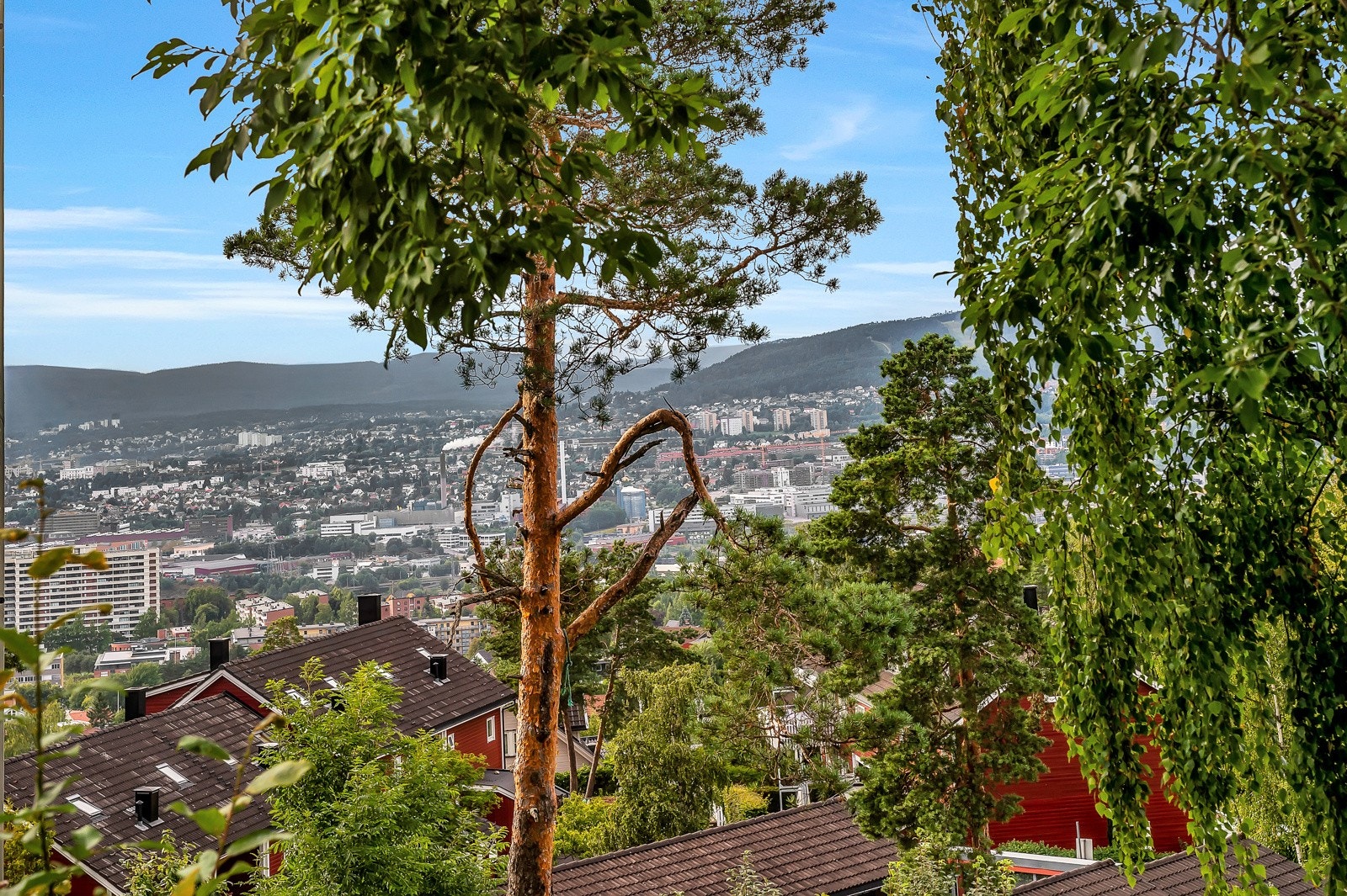Utsikt fra terrassen mot Oslo Sentrum Galleribilde