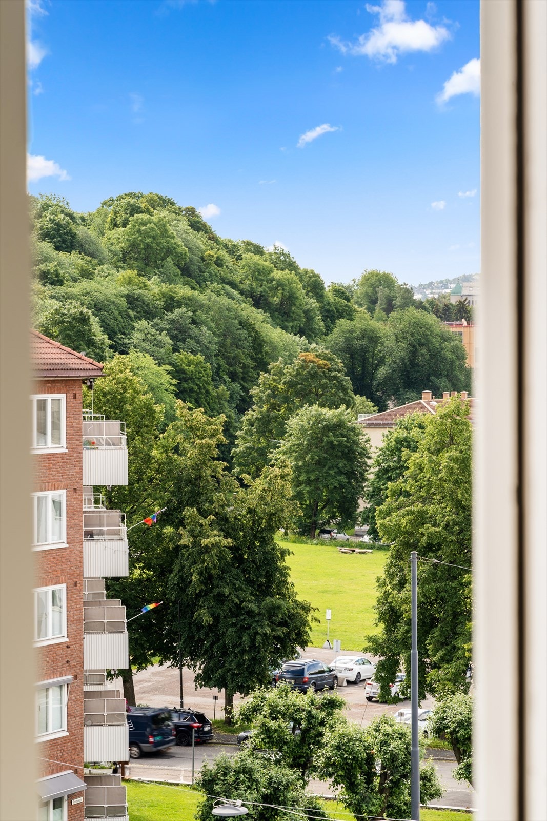 Utsikt. Galleribilde