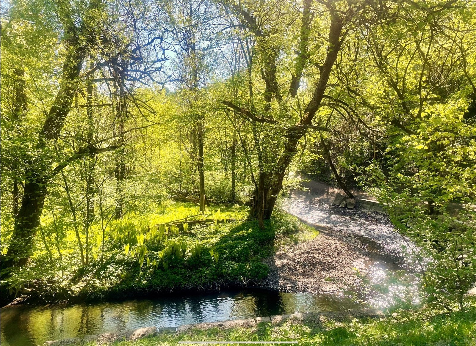 Alnaelven og Svartdalsparken er i gangavstand fra leiligheten. Dette er et populært friluftsområde i nabolaget. Galleribilde