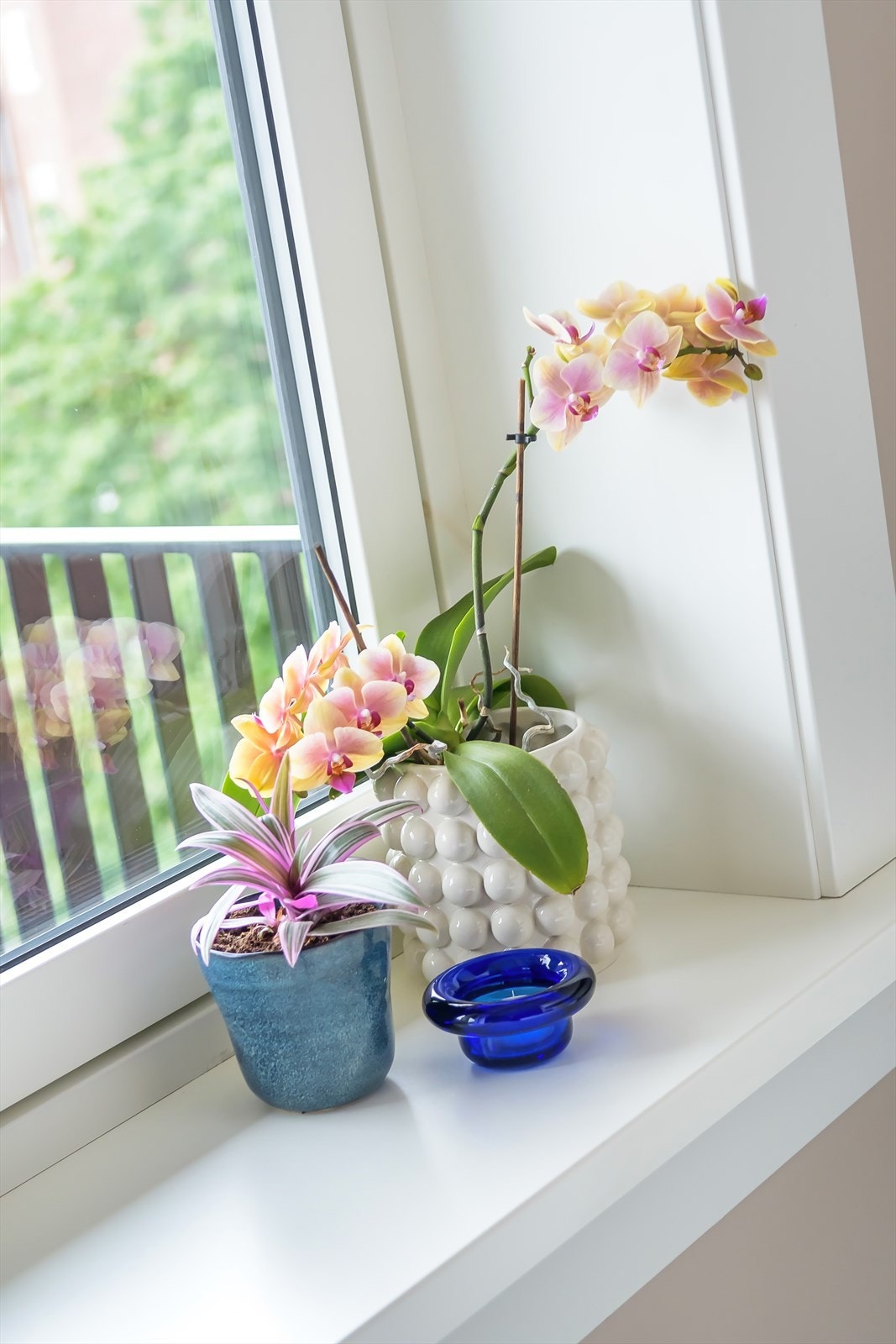 Fine dype vinduskarmer med plass til blomster og pynt Galleribilde