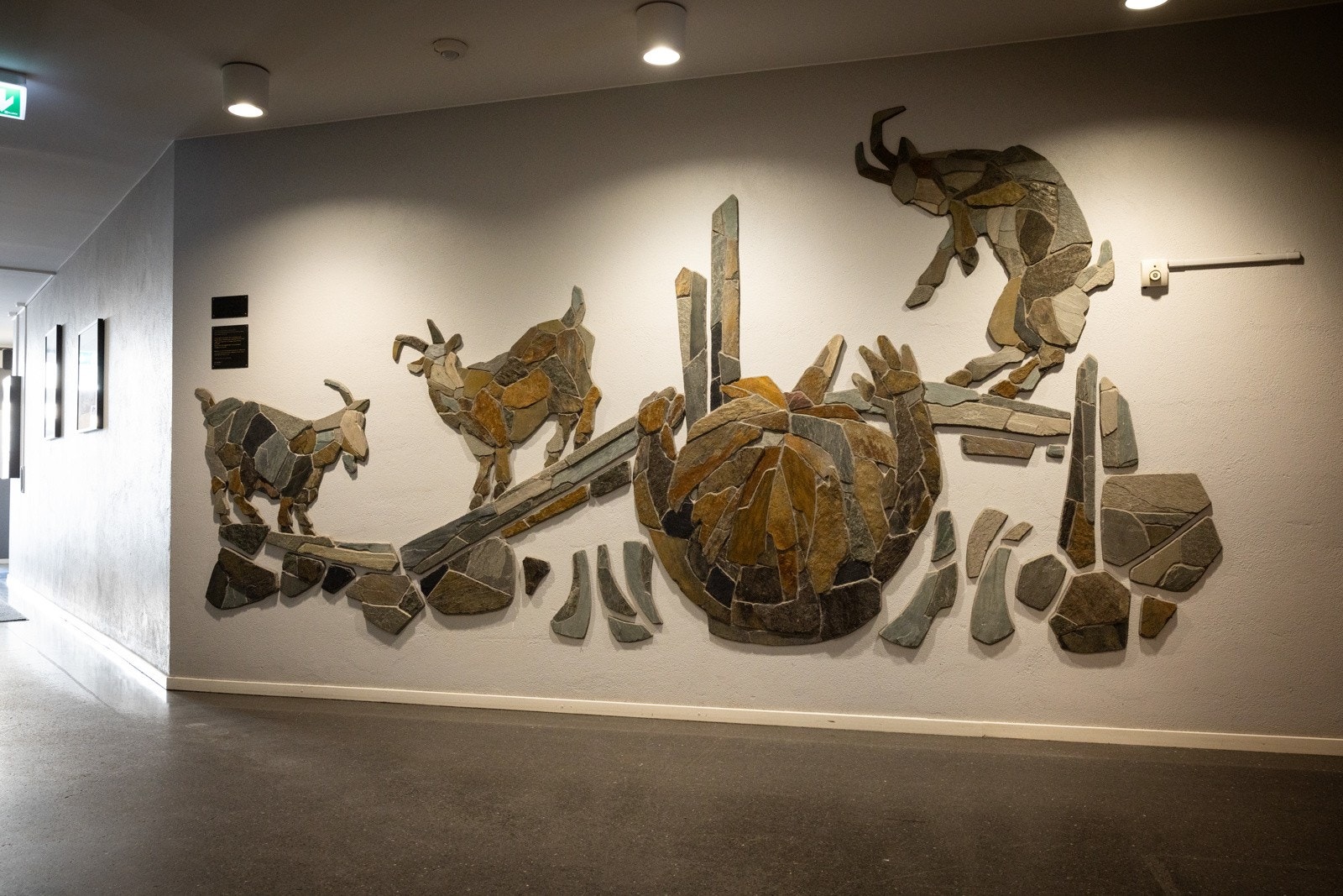 Pene fellesområder. Galleribilde