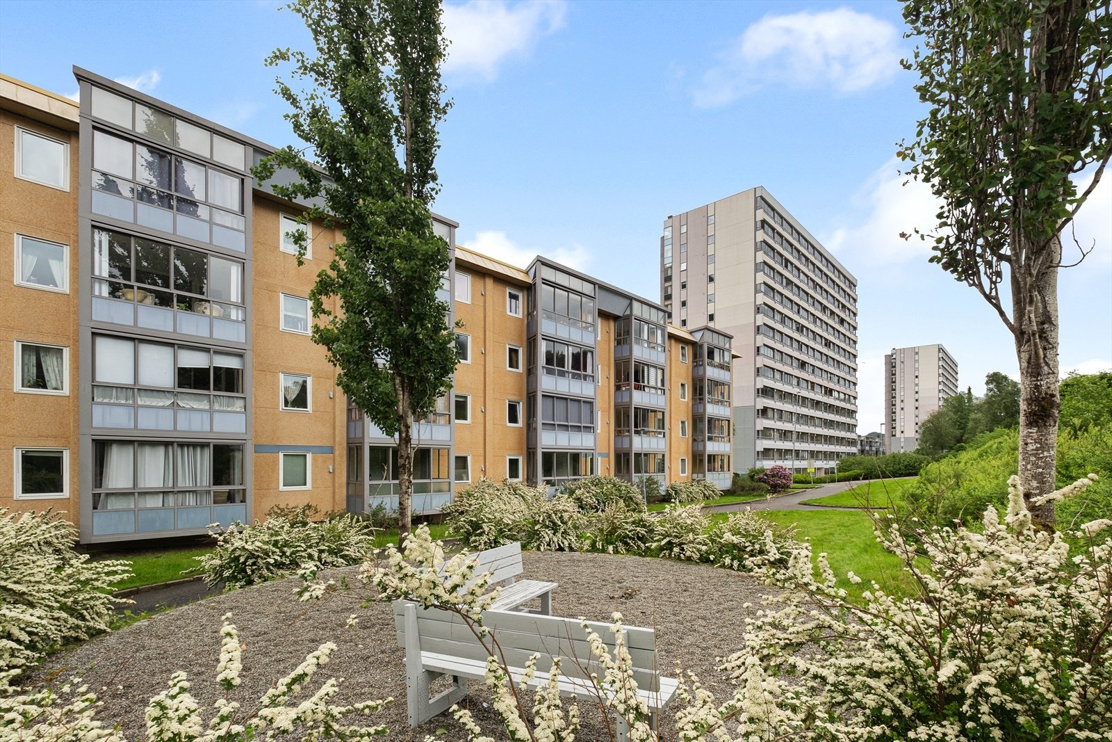 For den turglade er det flust av muligheter å velge mellom deriblant Lyderhornsfjellet, Alvøenskogen og Kanadaskogen. Galleribilde