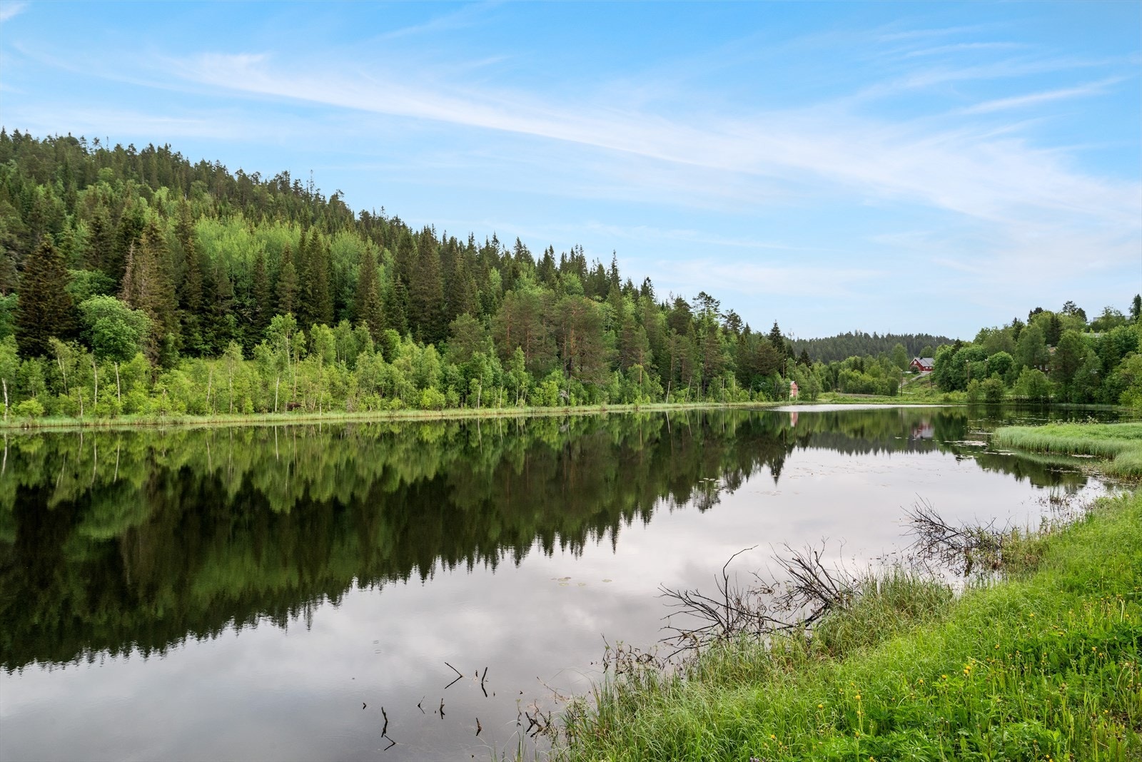 Nærområde Galleribilde