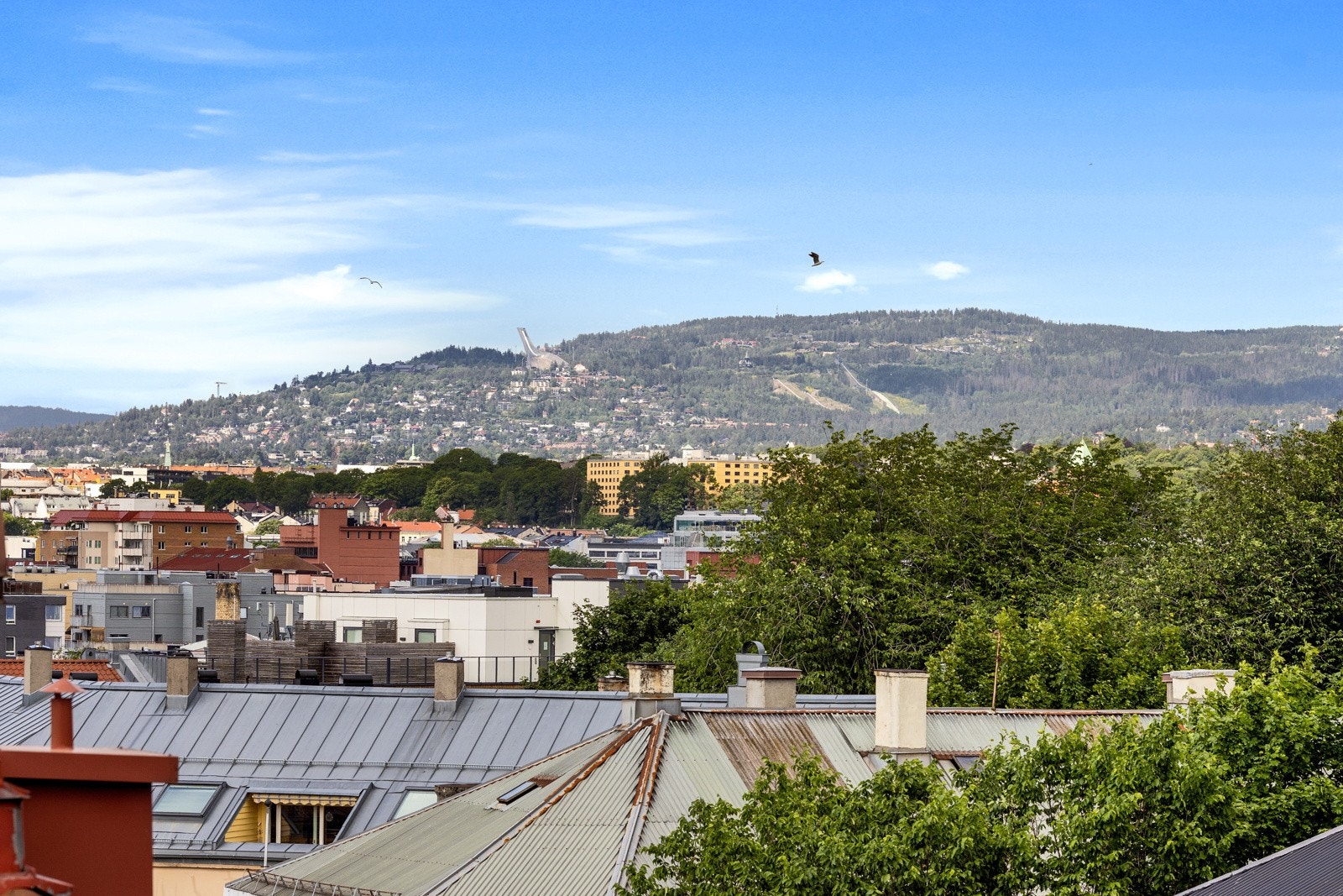 Den flotte utsikten fra kjøkkenvinduet strekker seg helt til marka og Holmenkollen. Galleribilde